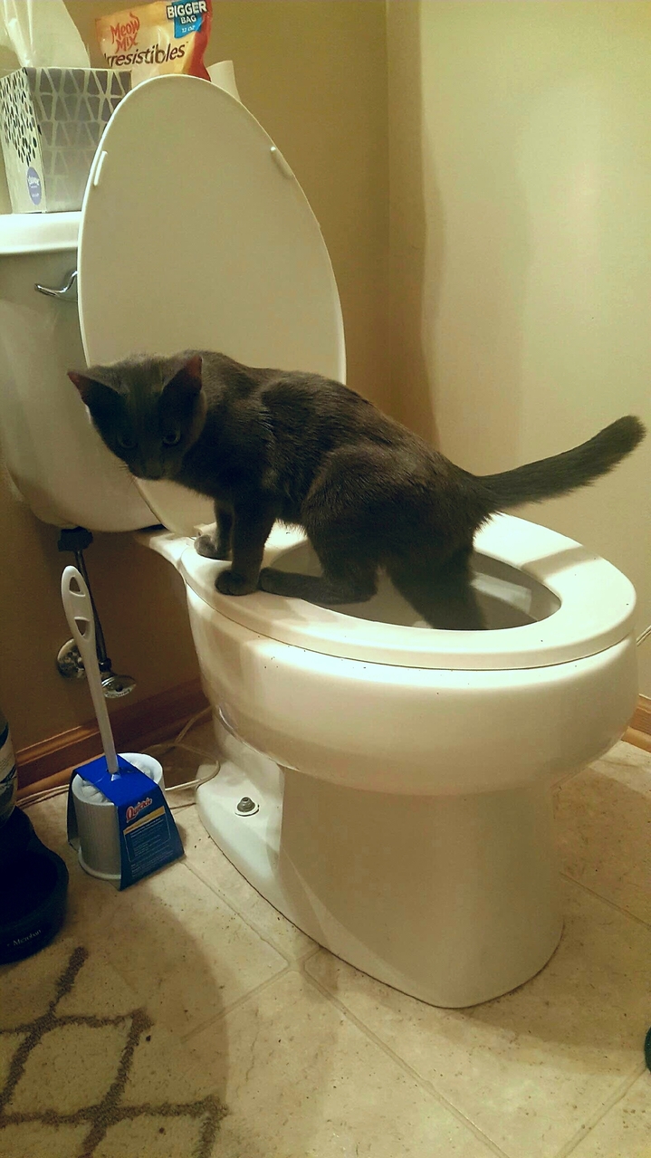 Caught Red Handed