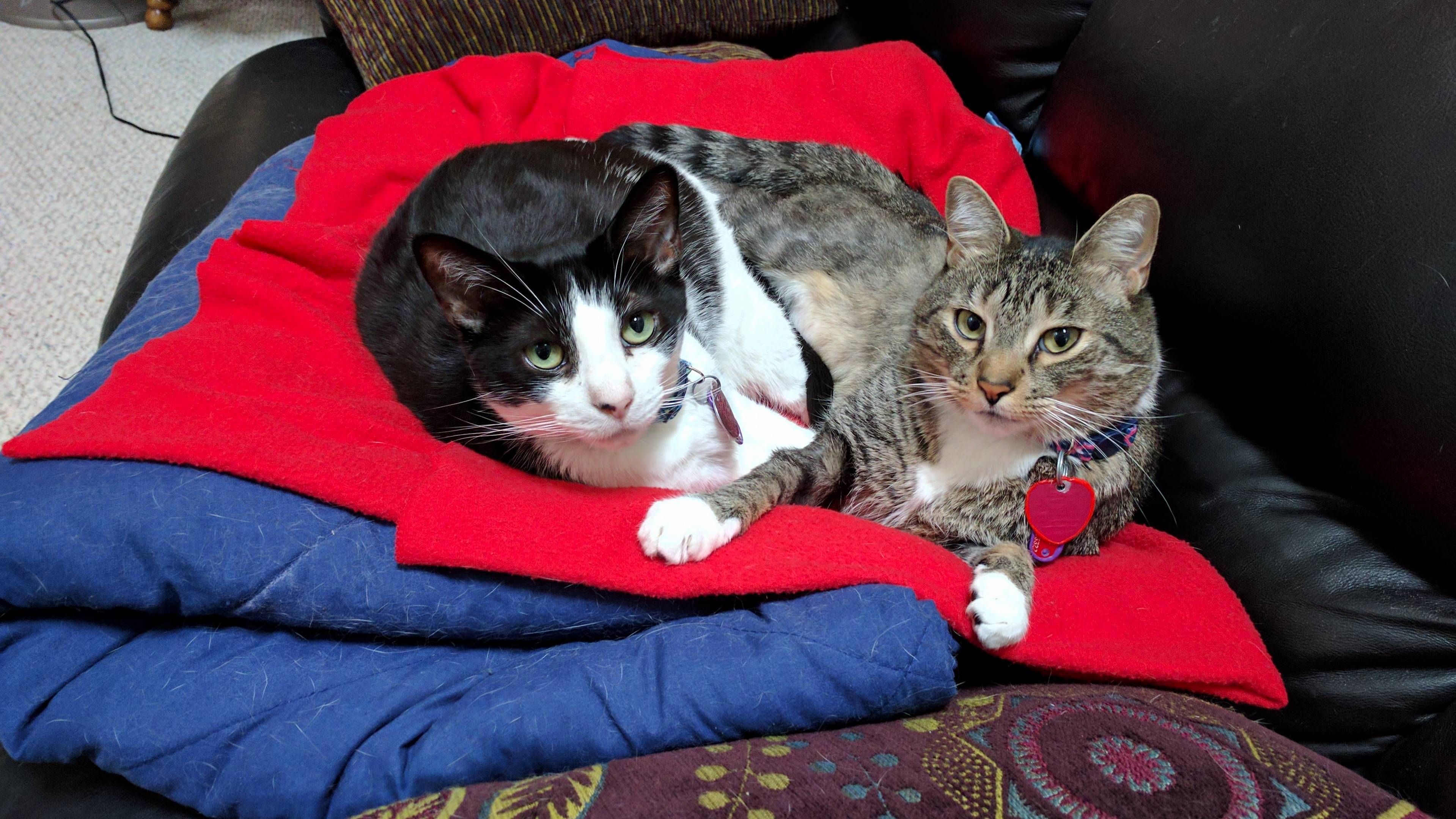 Caught Snuggling