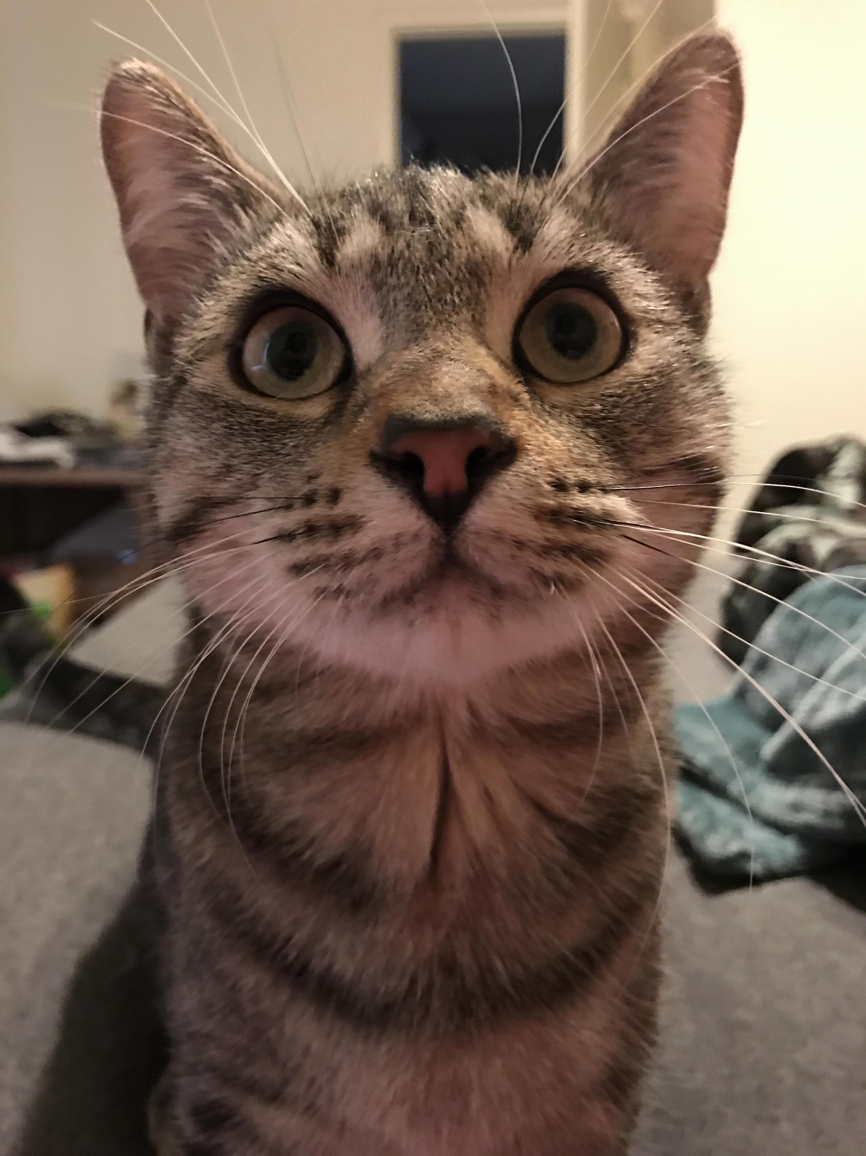 Charles Says Good Morning.