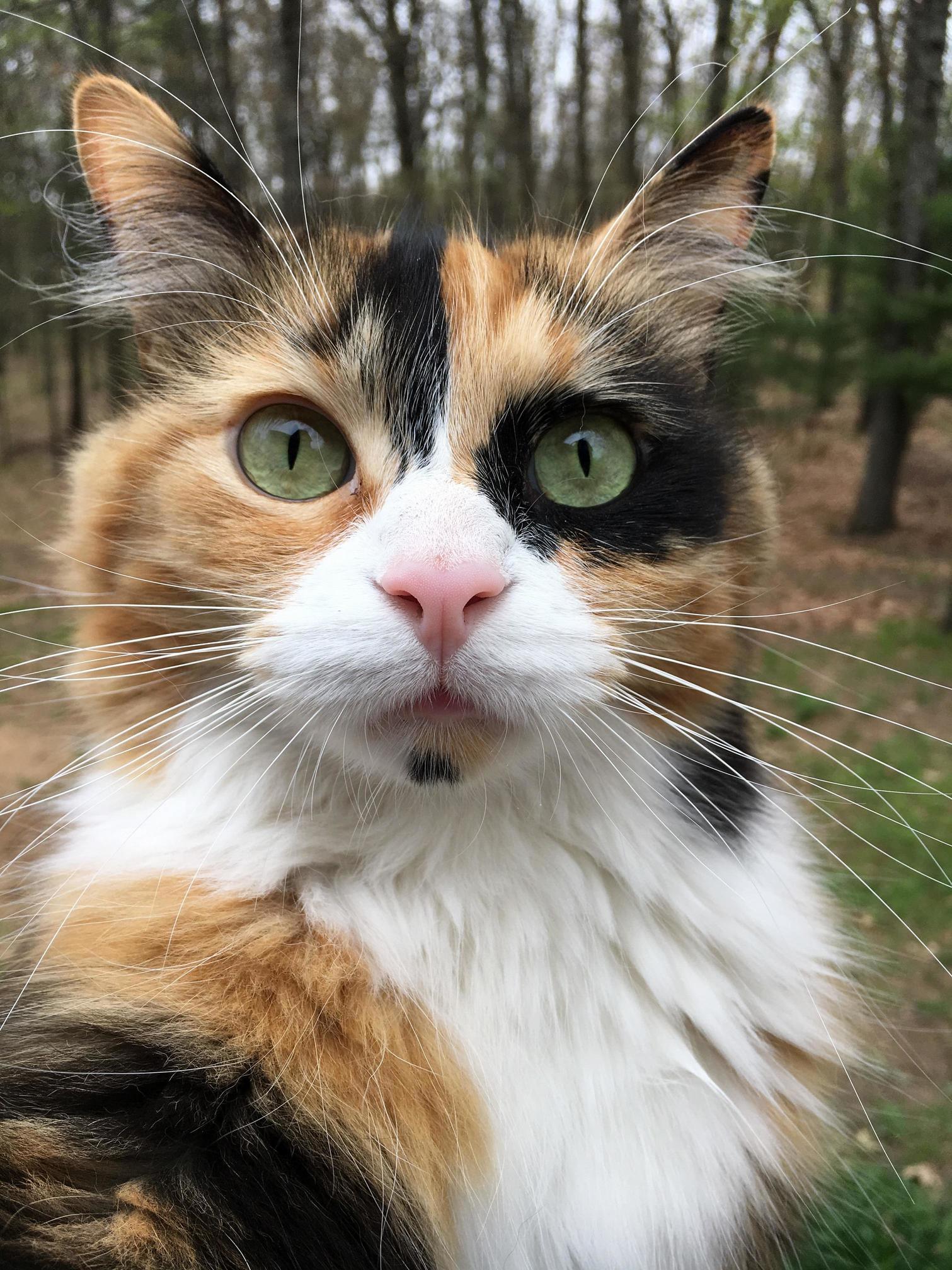 Chloe Looks Like She Took a Selfie This Morning.