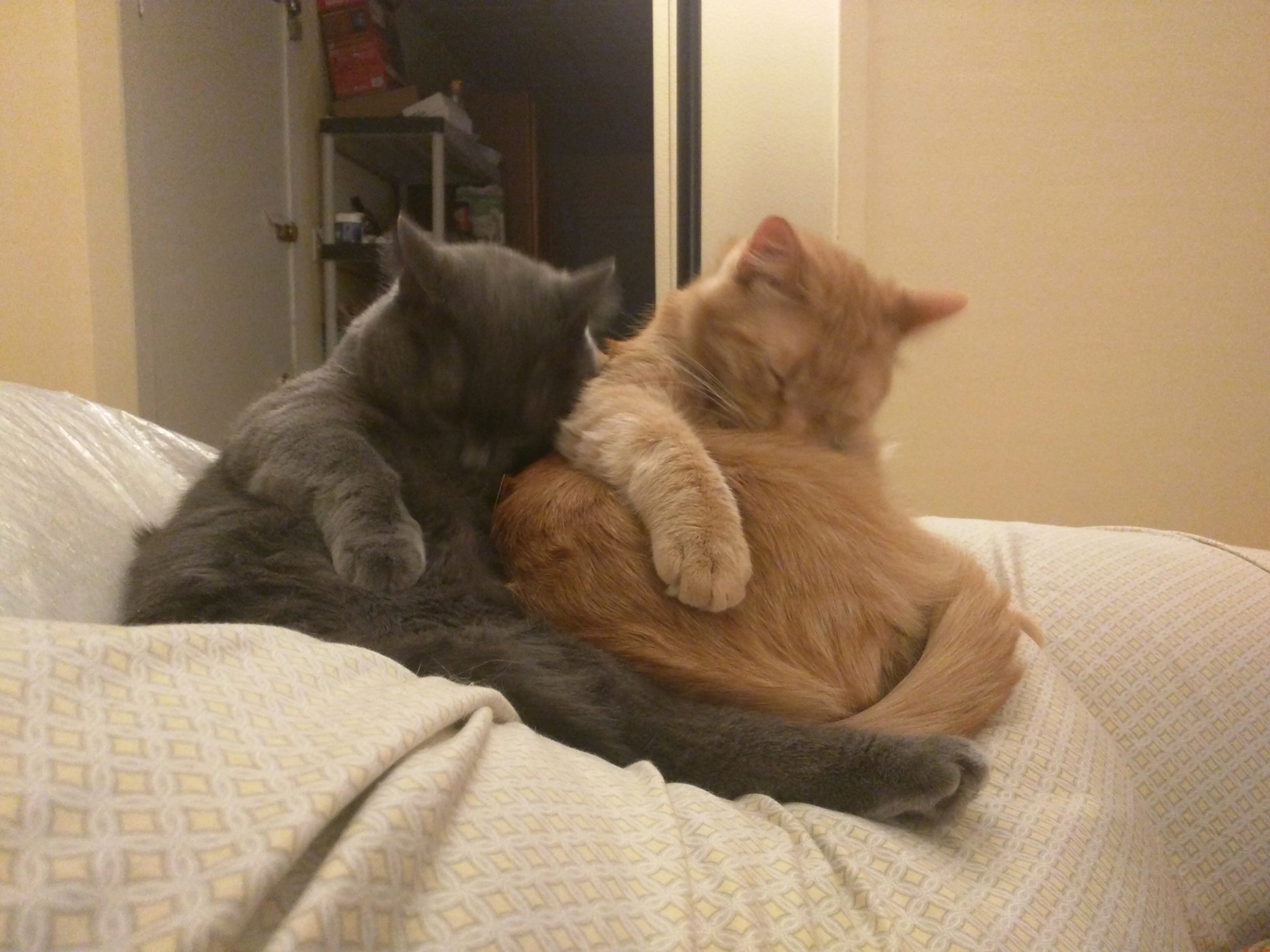 Copy Paste