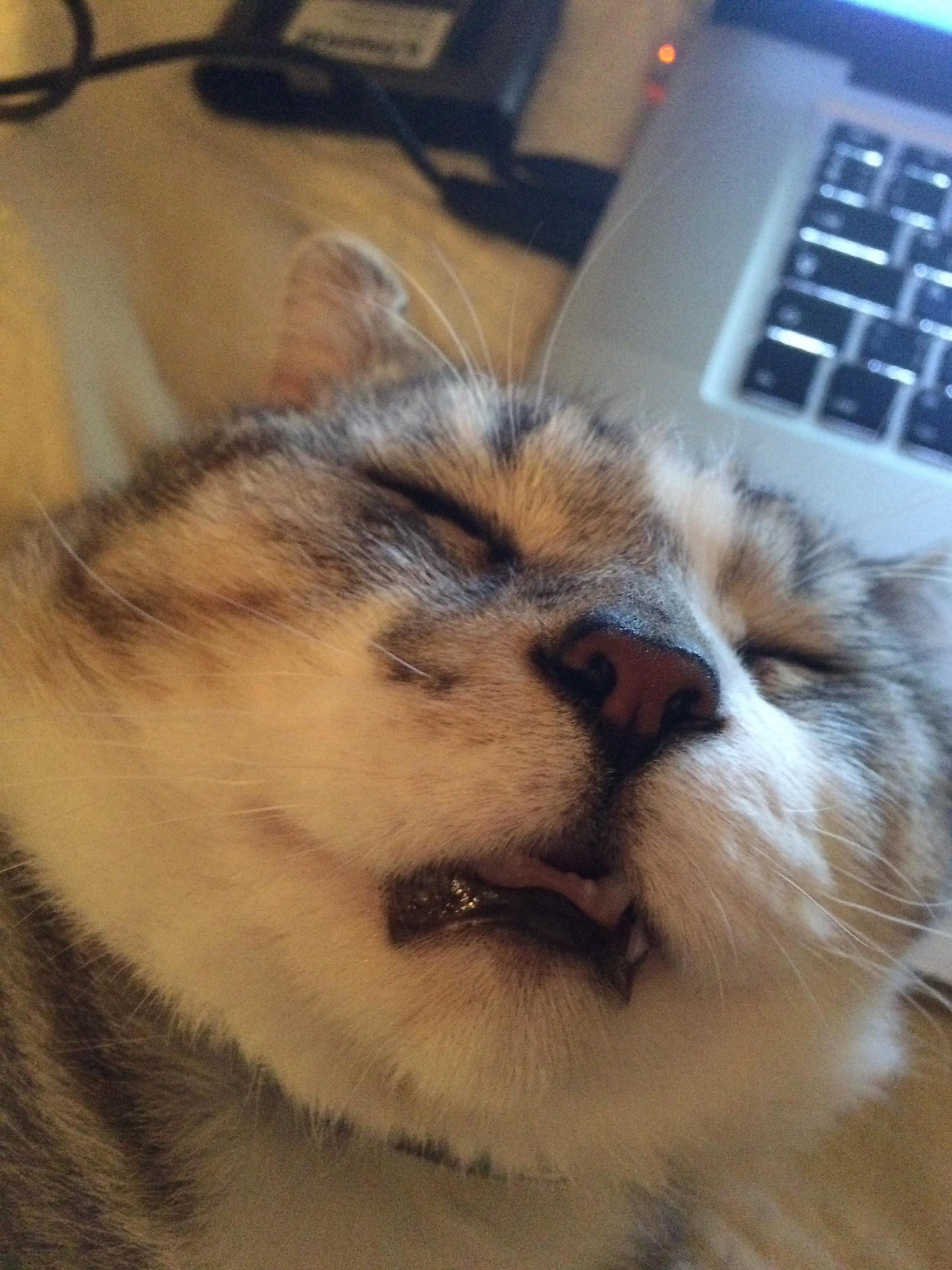 Current Mood