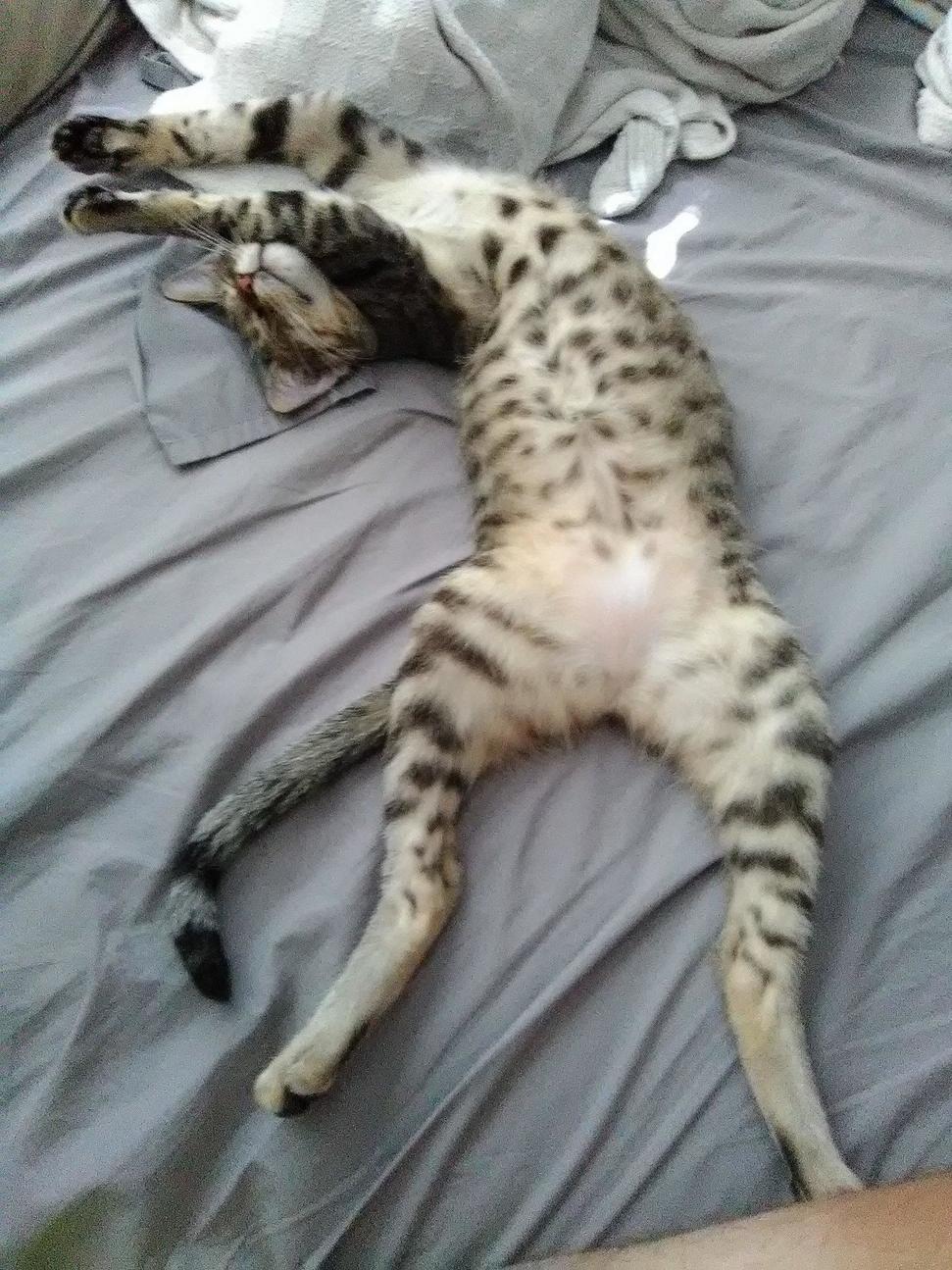Daisy Has No Shame