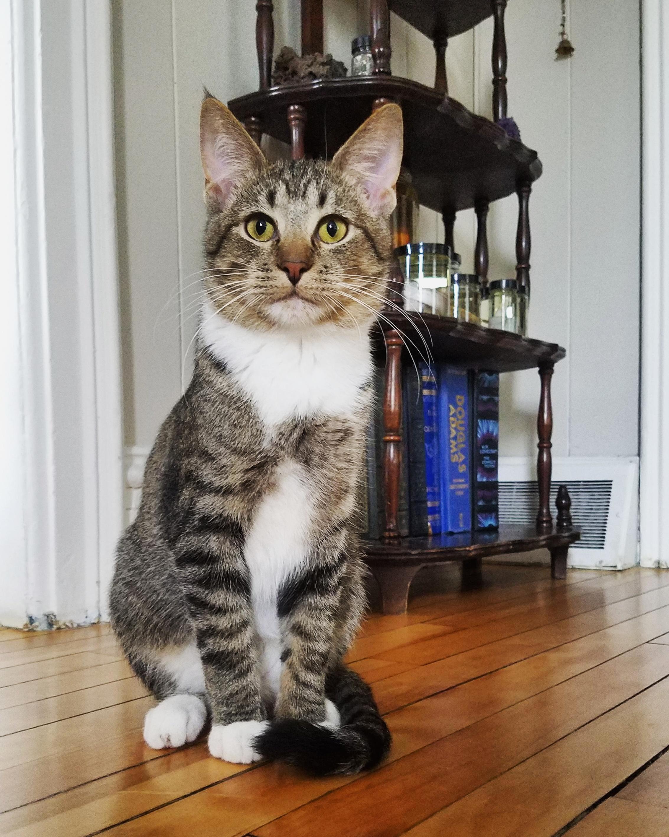 Dale Is Such a Handsome Fella