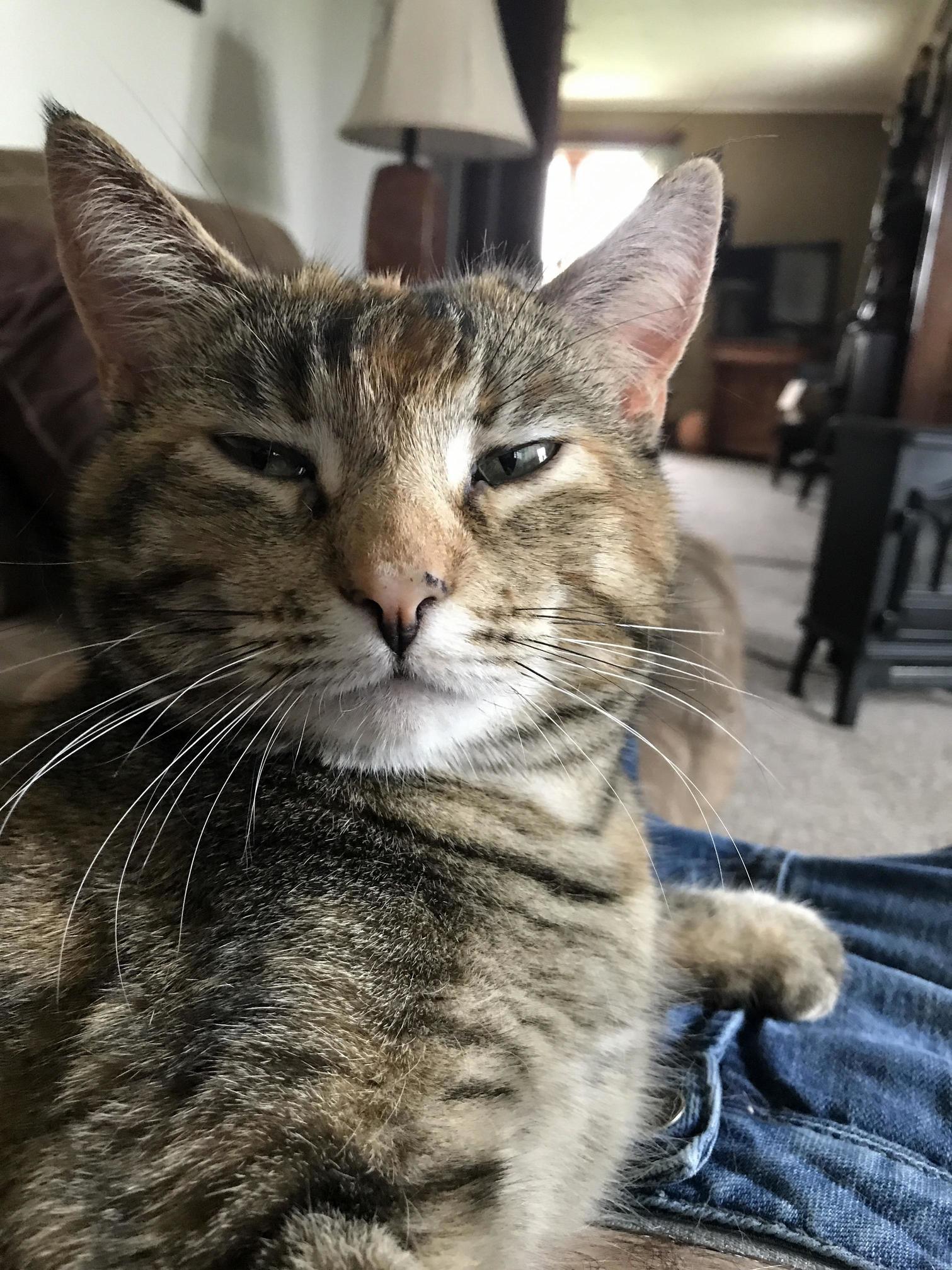 Daphne Doesnt Like Taking Pictures