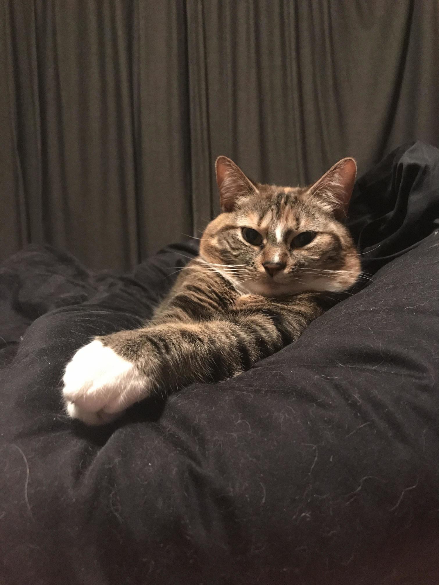 Did the Fb Group Pussy Shots Get Shut Down but First a Picture of My Sweet Baby Ella.