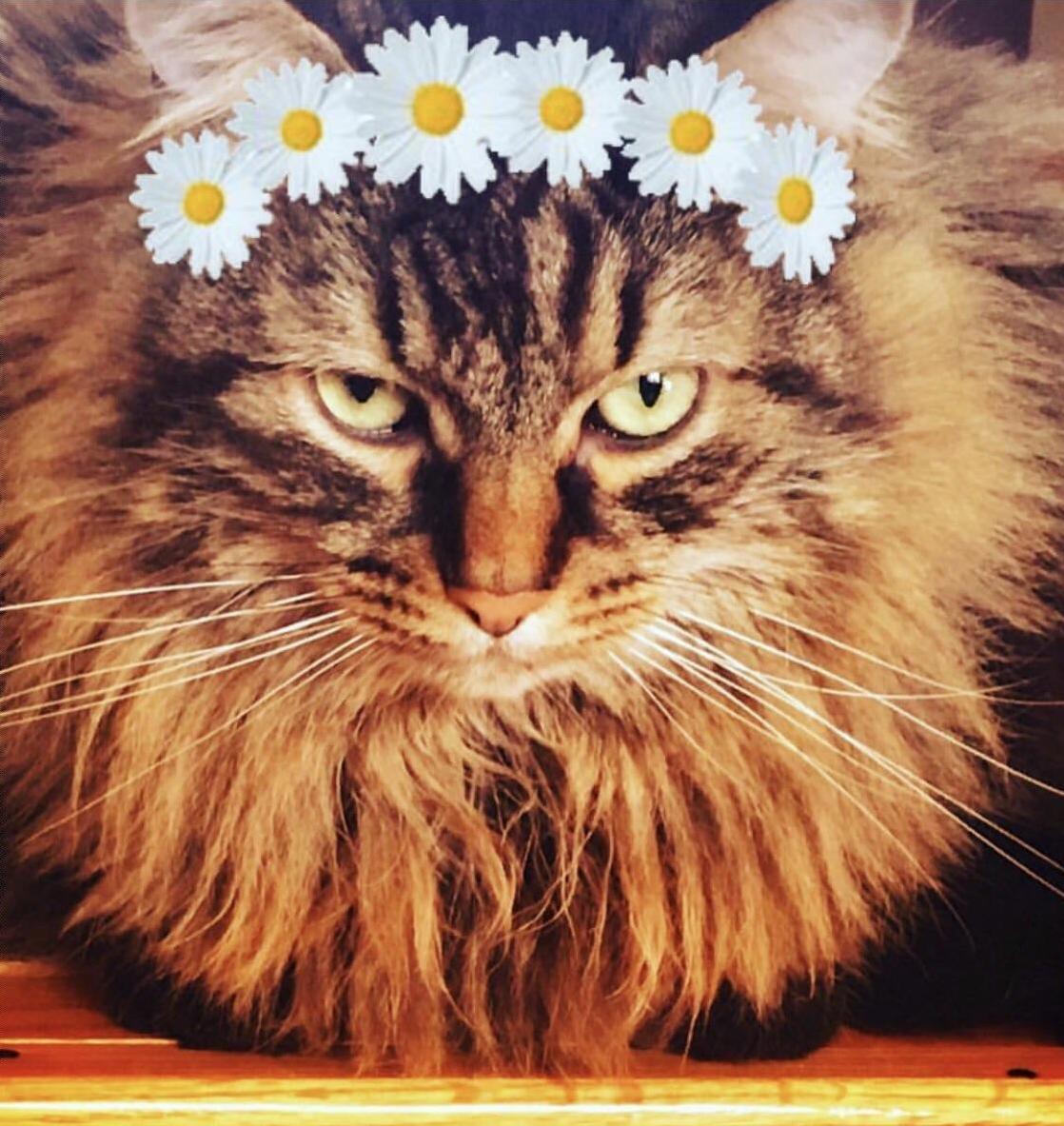 Do You Think Im Cute