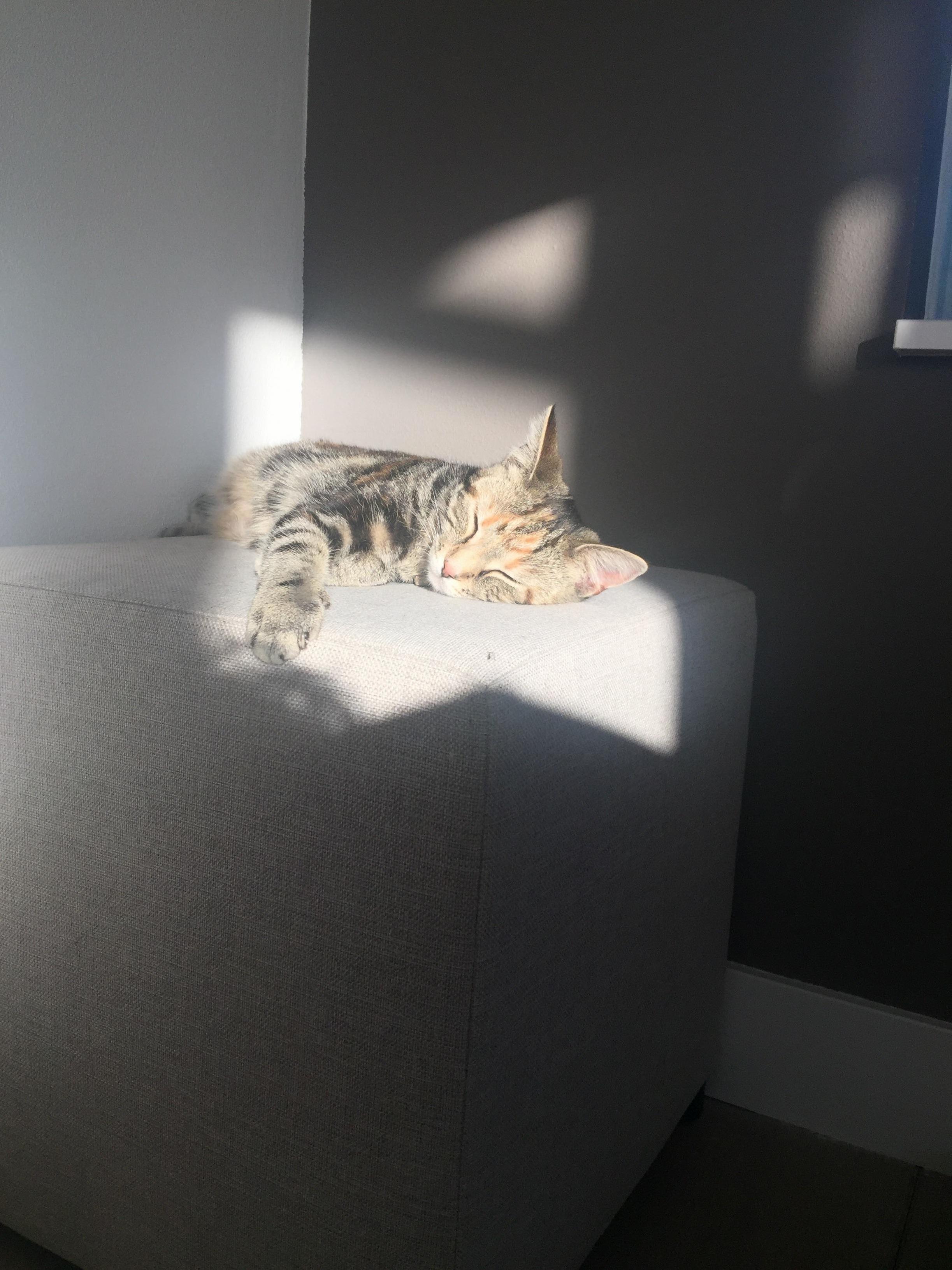Easter Sun