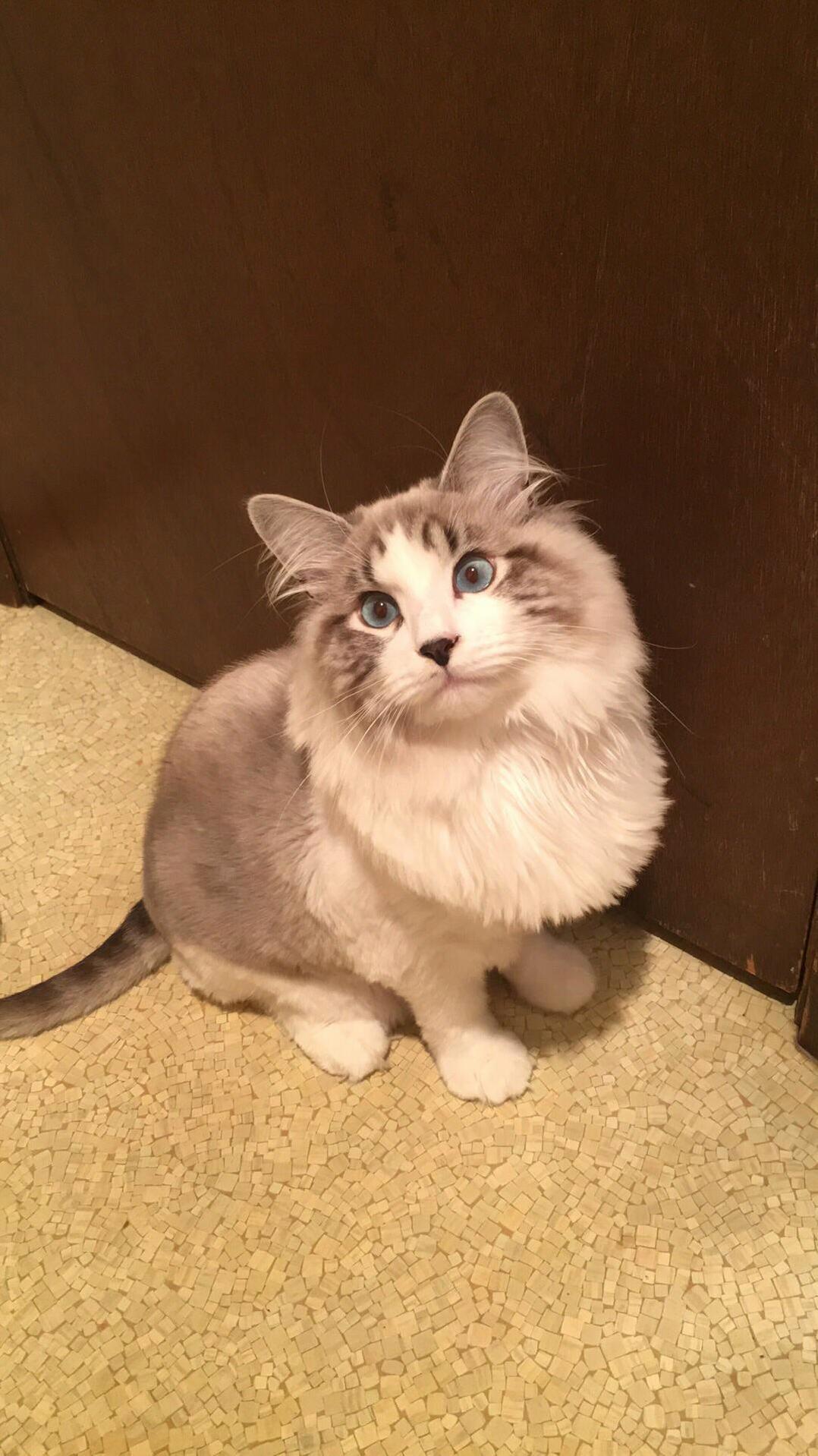 Ello Im Caspian