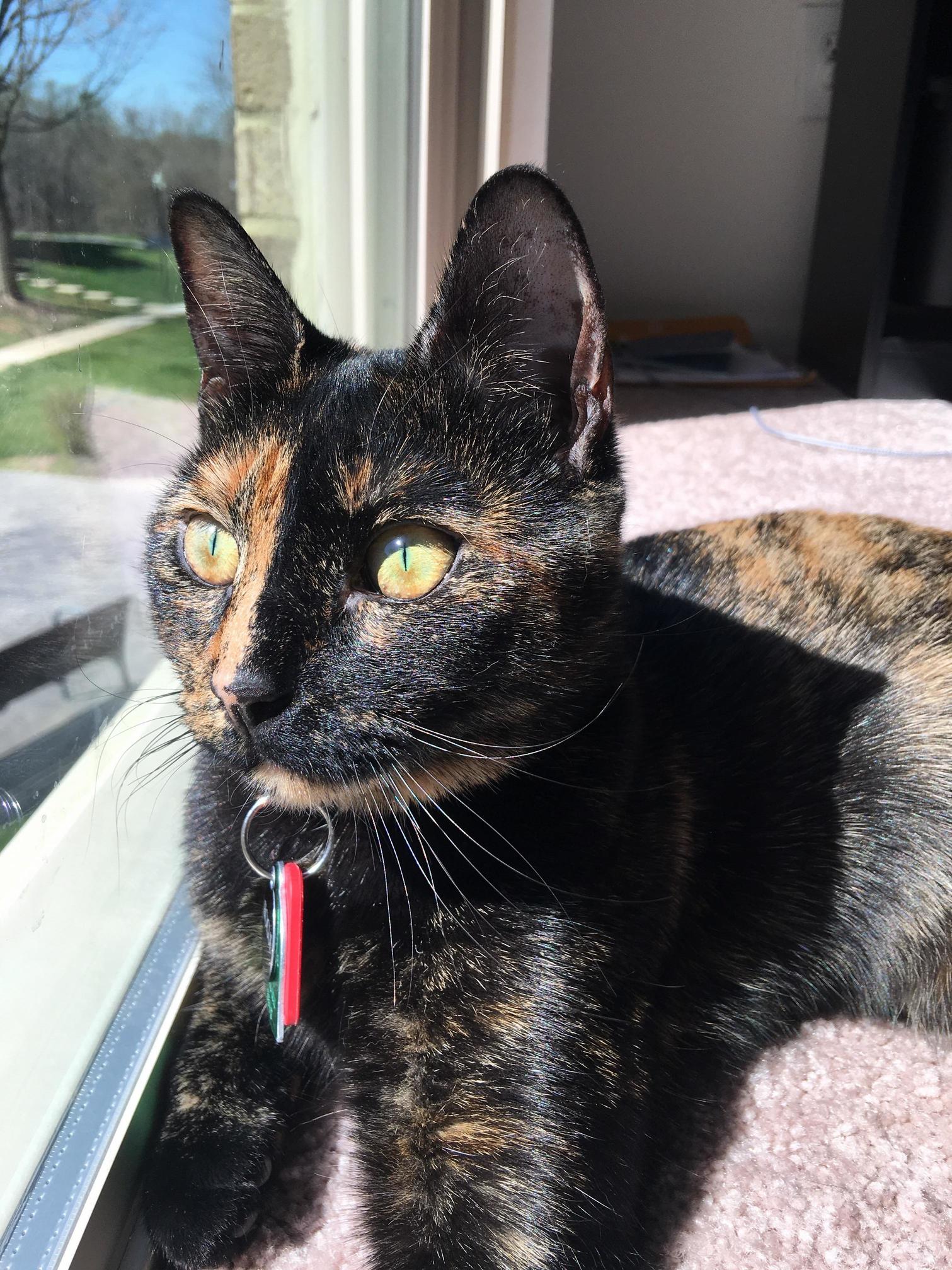 Enjoying Some Sunshine