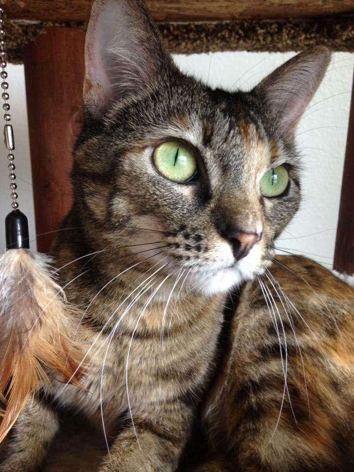 Enjoying the Birdies