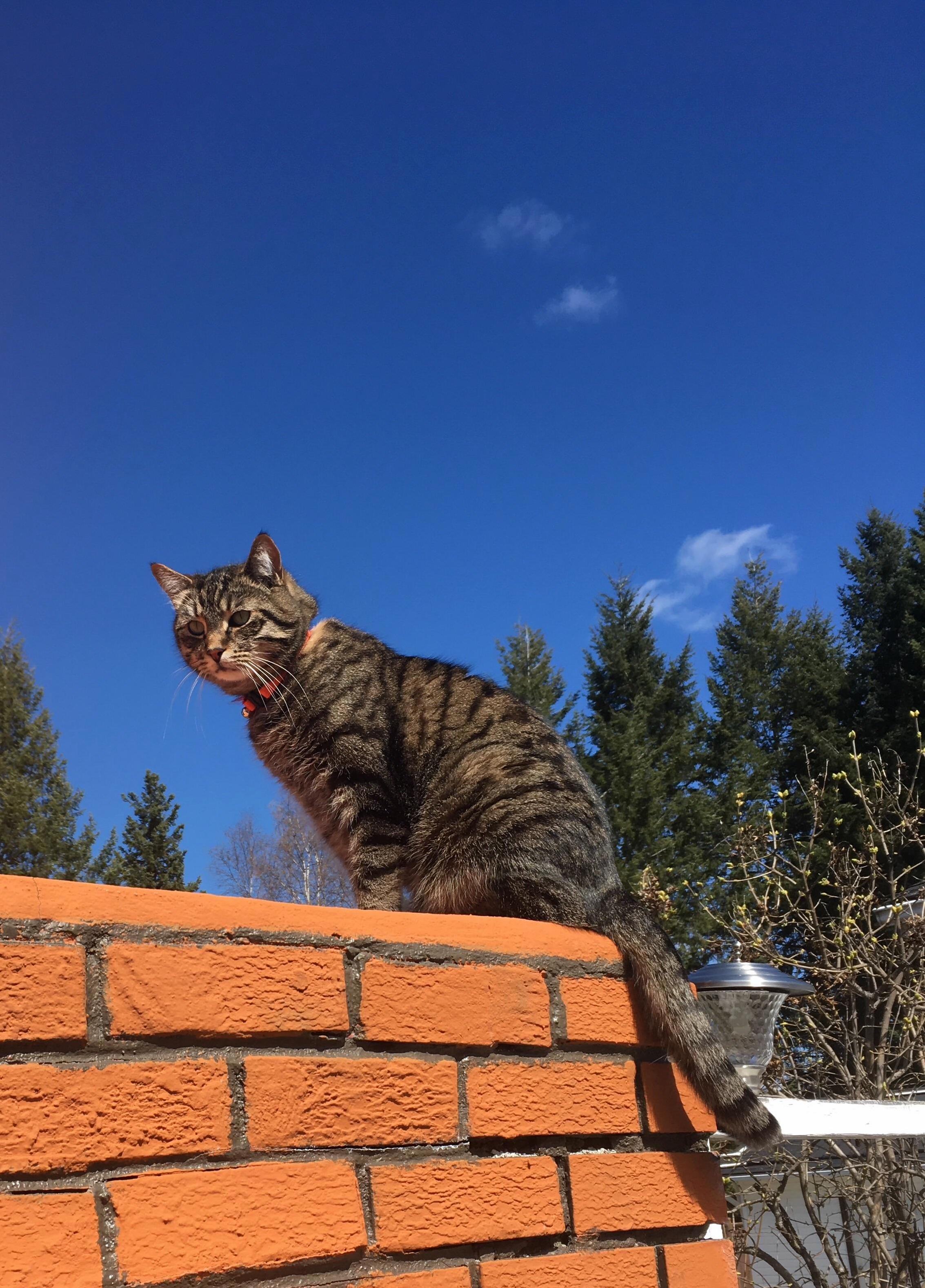 Enjoying This Sunny Spring Day