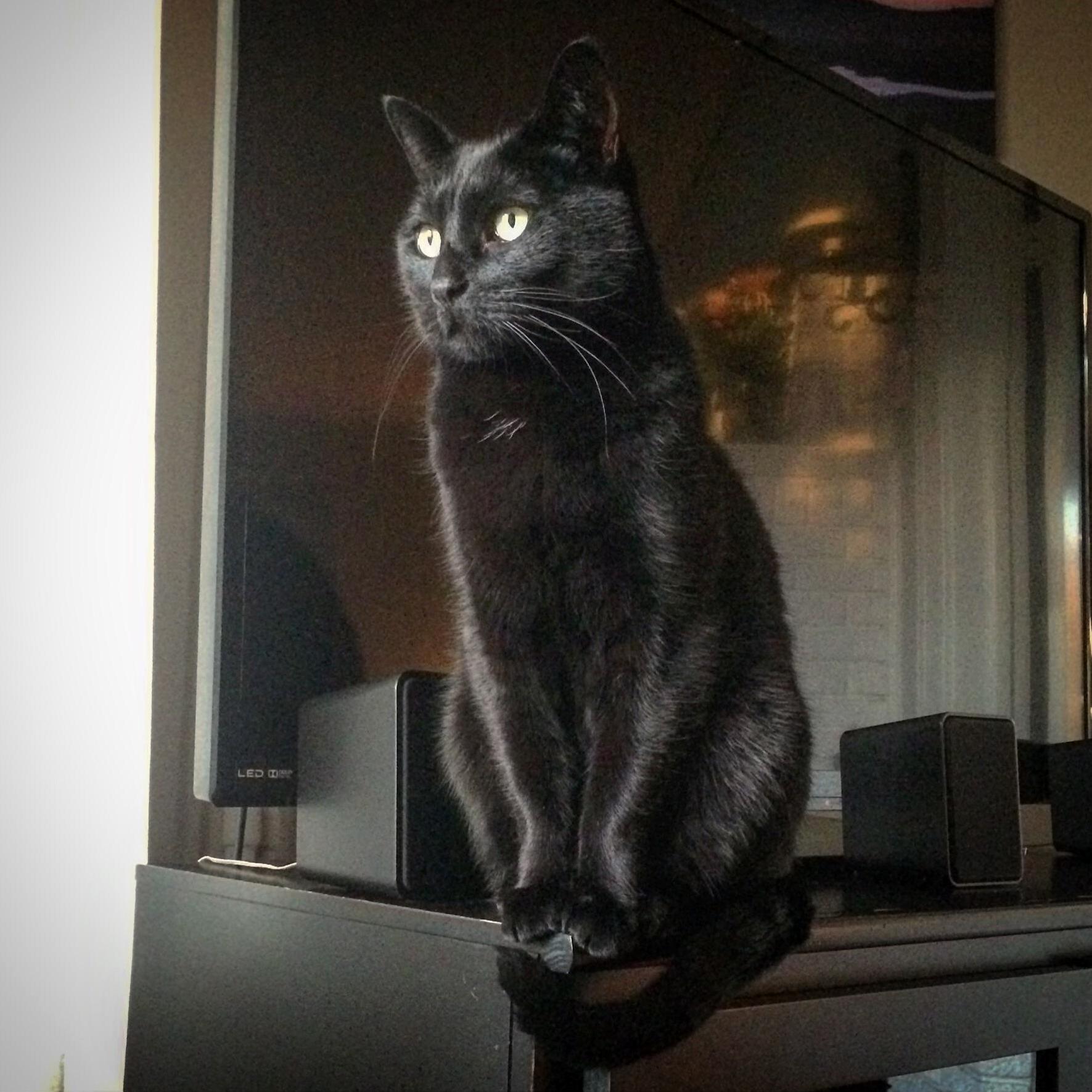 Favorite Spot to Watch the Birds.