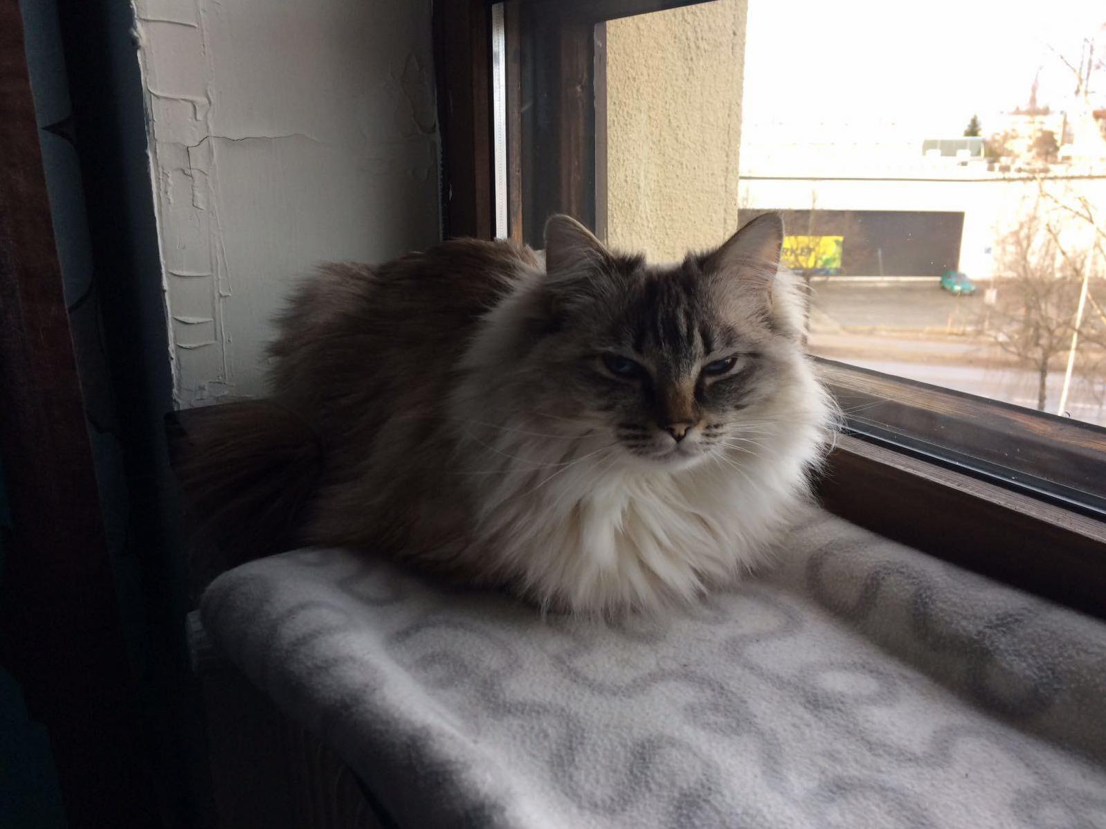 Floofy Loaf