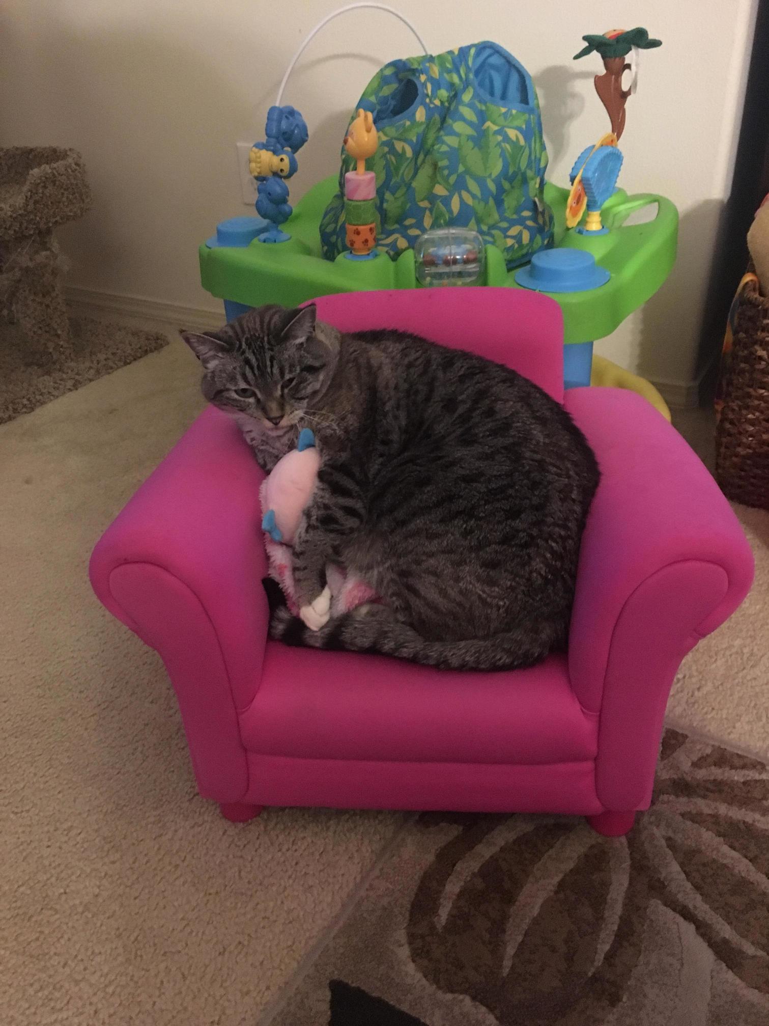 Follow Up to My Cat and My Daughters Chair...he Still Loves It.