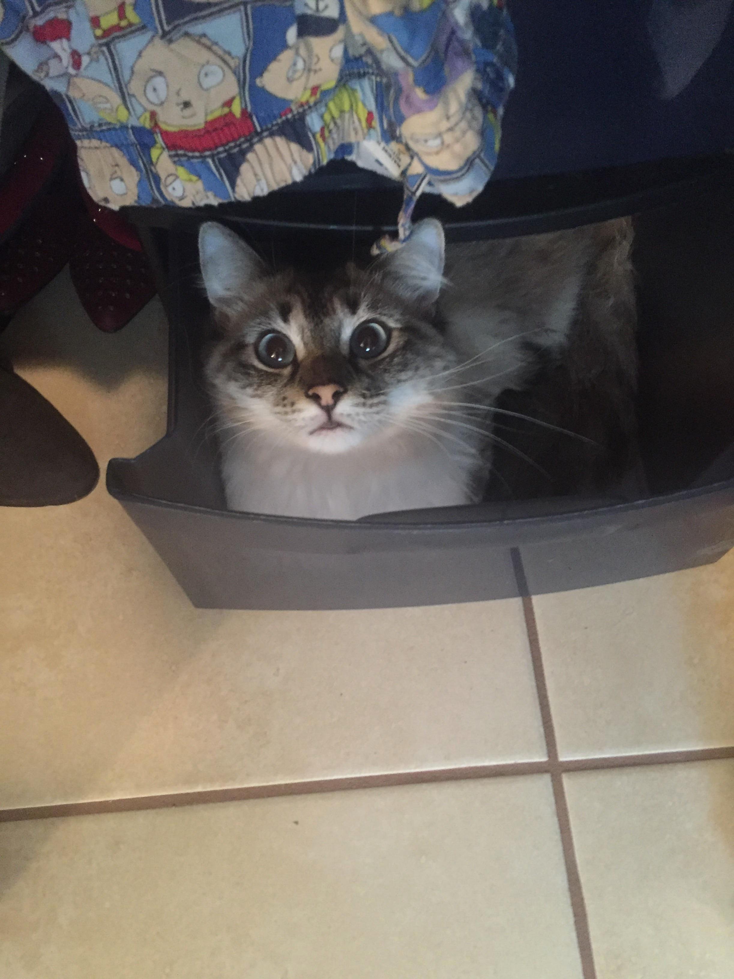 Found Her