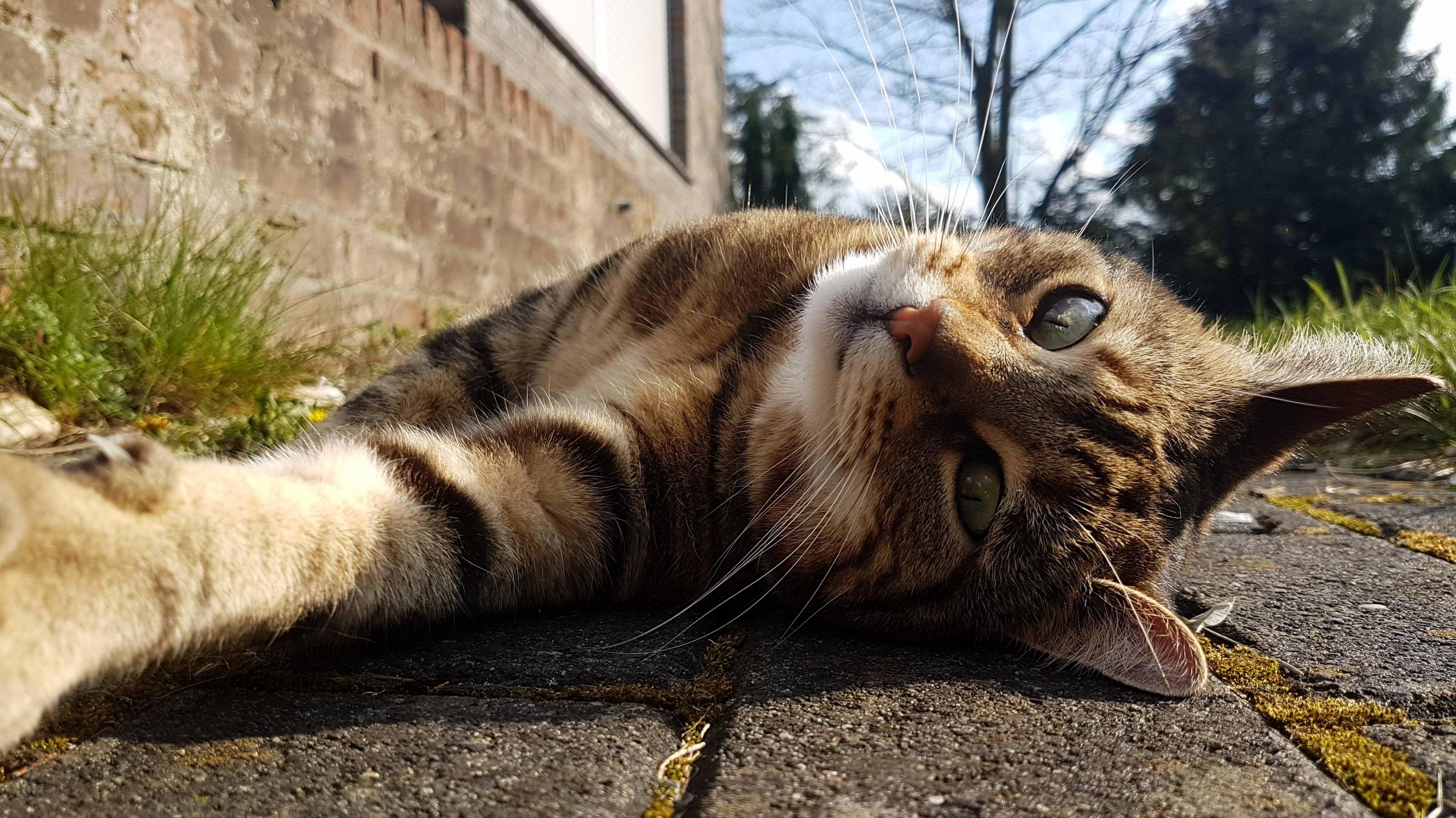 Getting All Comfy in the Garden