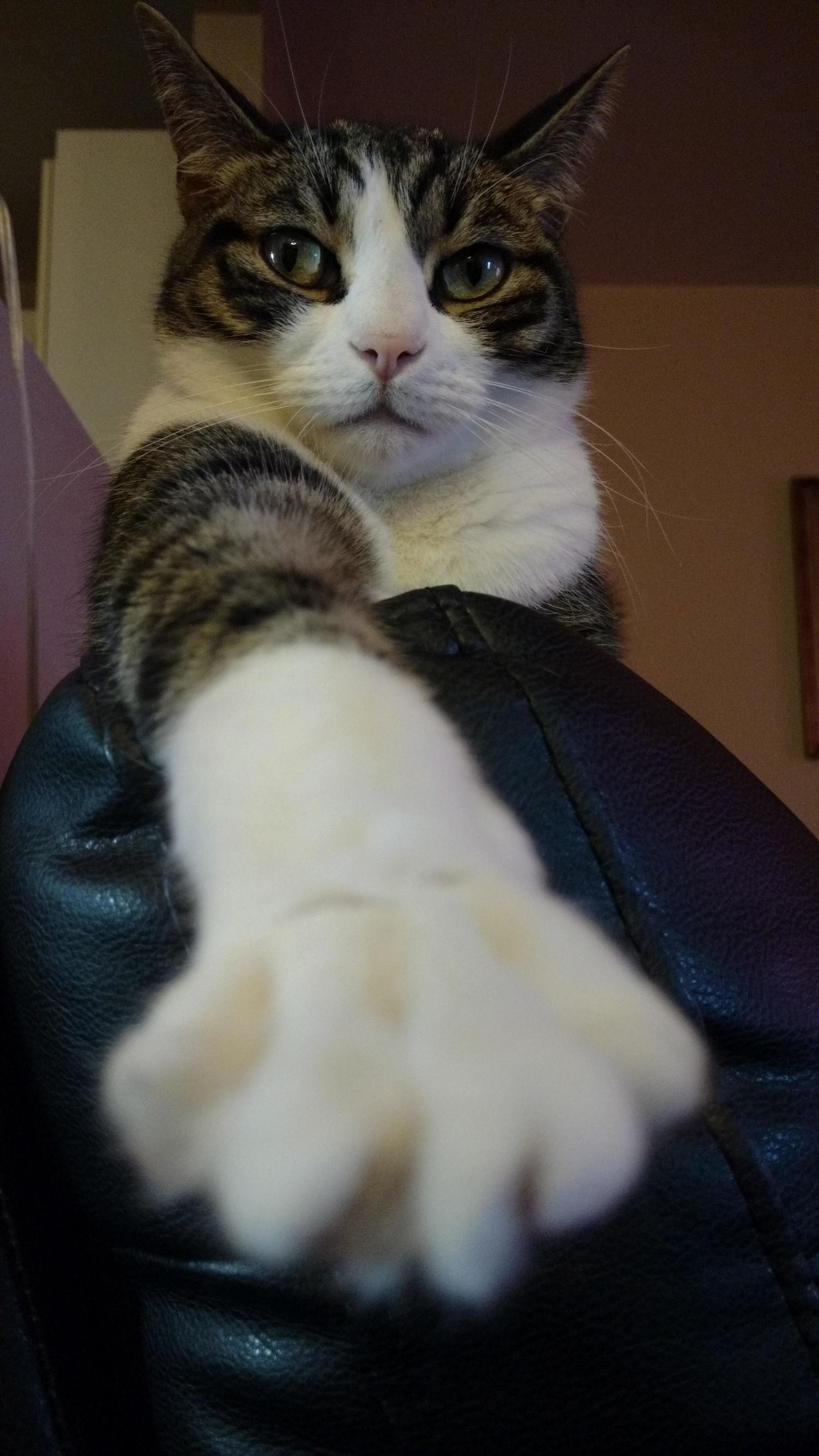 Give Me Five