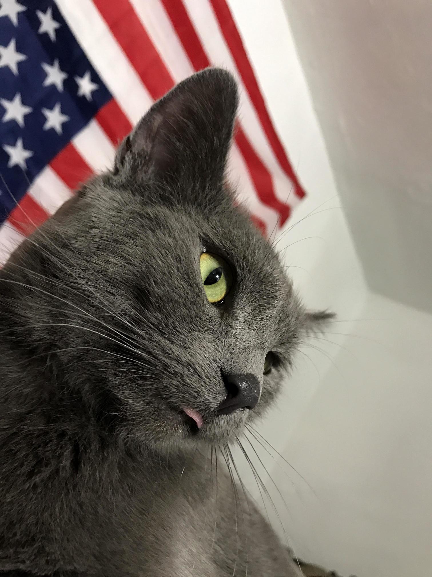 God Blep the Usa