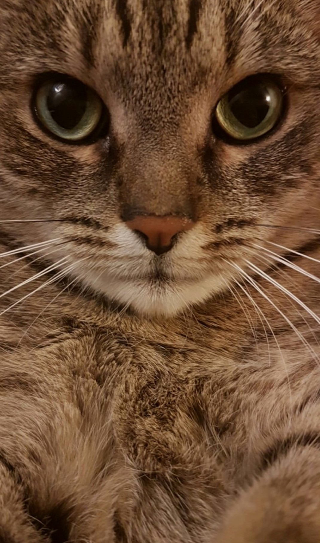 Great Selfie Game.