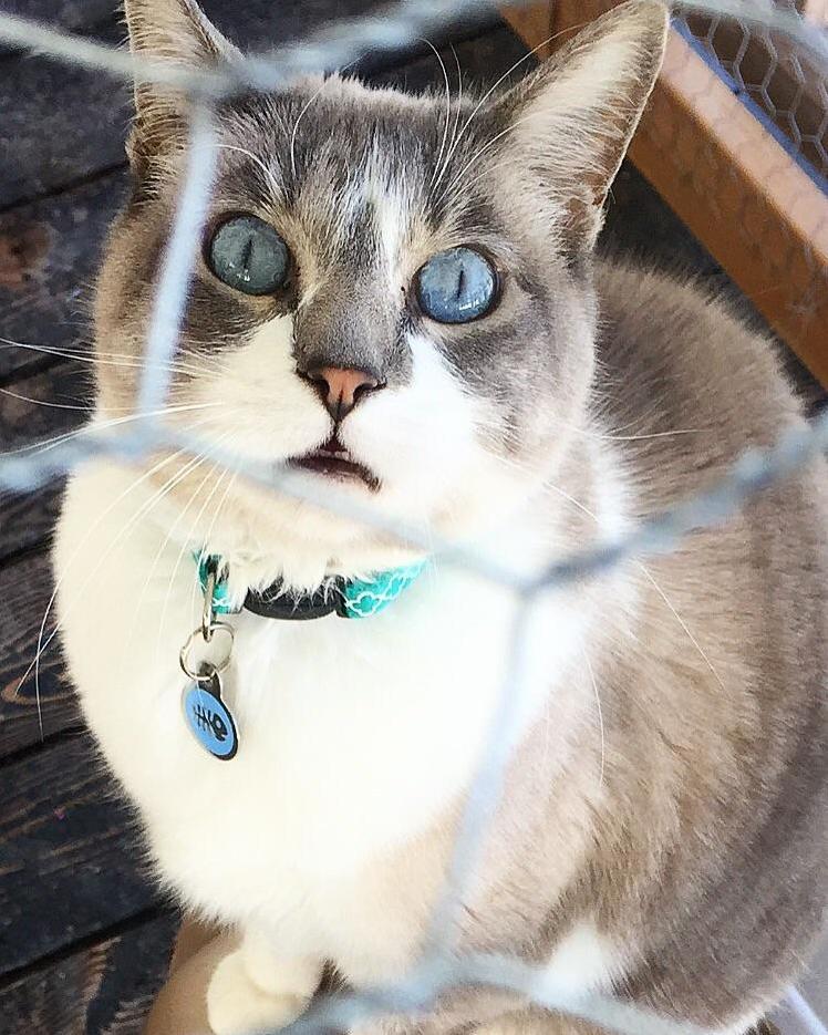 Greenbean Looks Like Shes Seen Some Shit