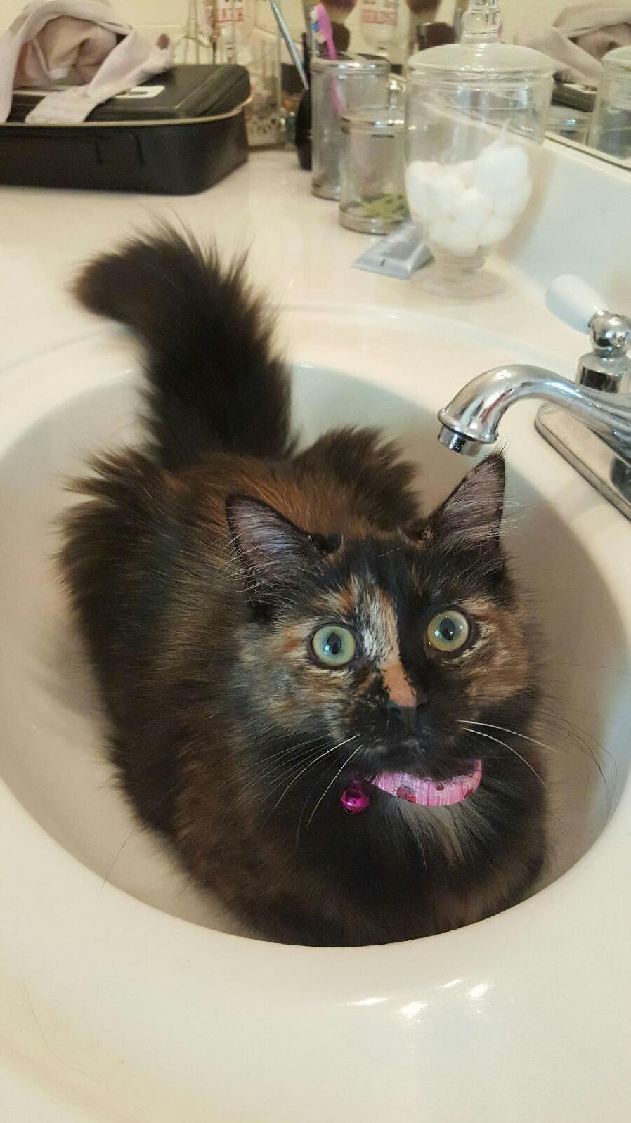 Gretels New Favorite Place