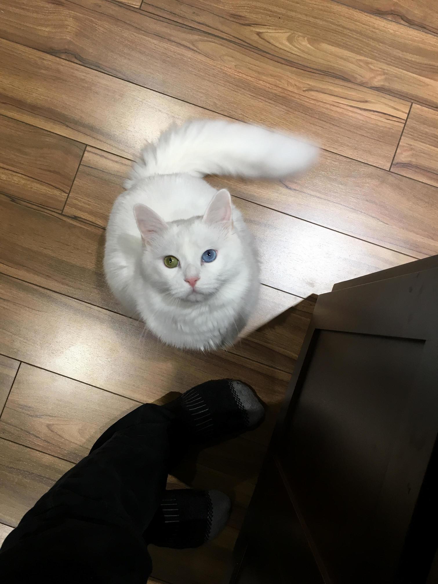 Happy Second Birthday to This Awesome Mf