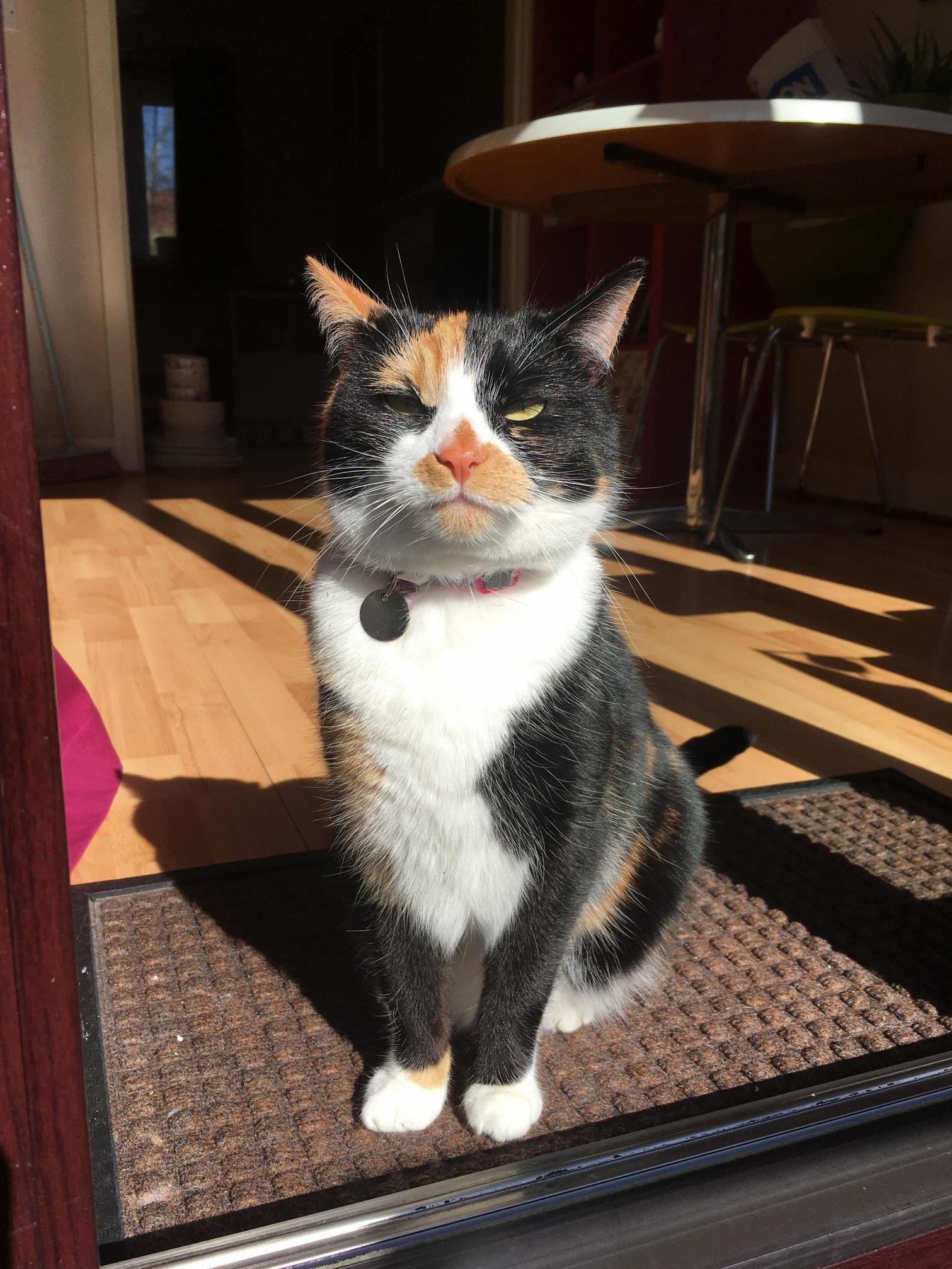 Harley Obviously Isnt Used to the English Sunshine