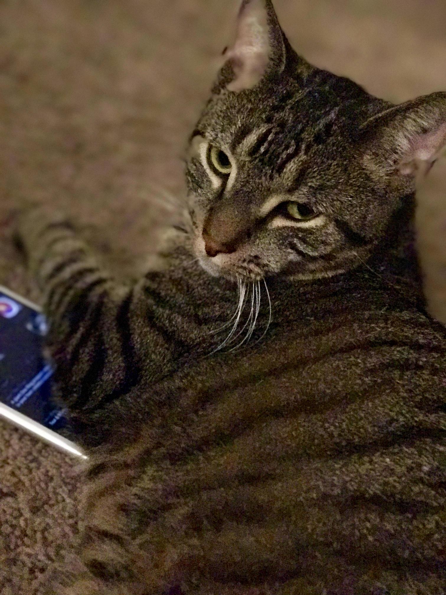 He Loves to Go on