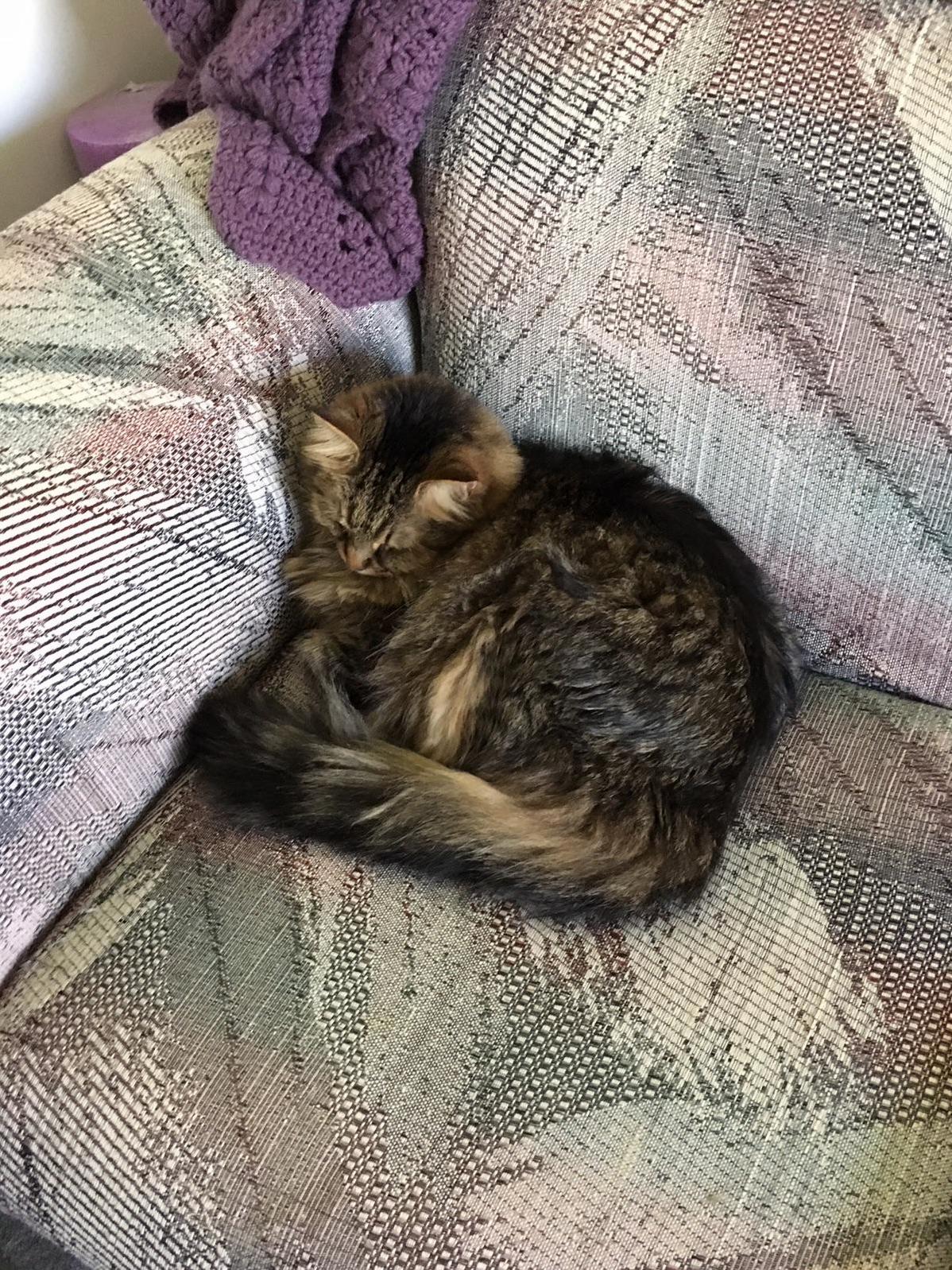 He Takes My Spot As Soon As I Get Up