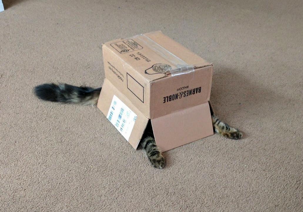 He Thinks Hes Being Sneaky