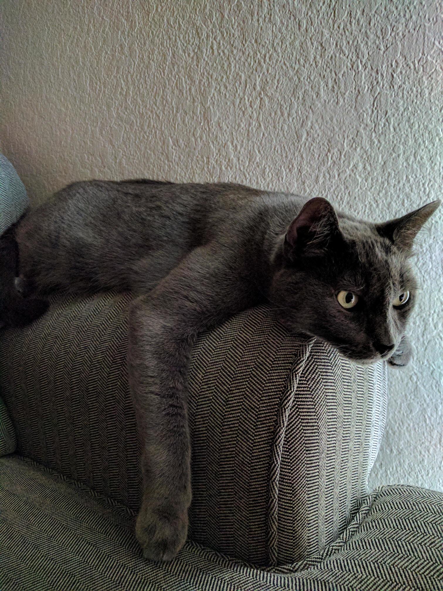 He Usually Turns Away from the Camera.