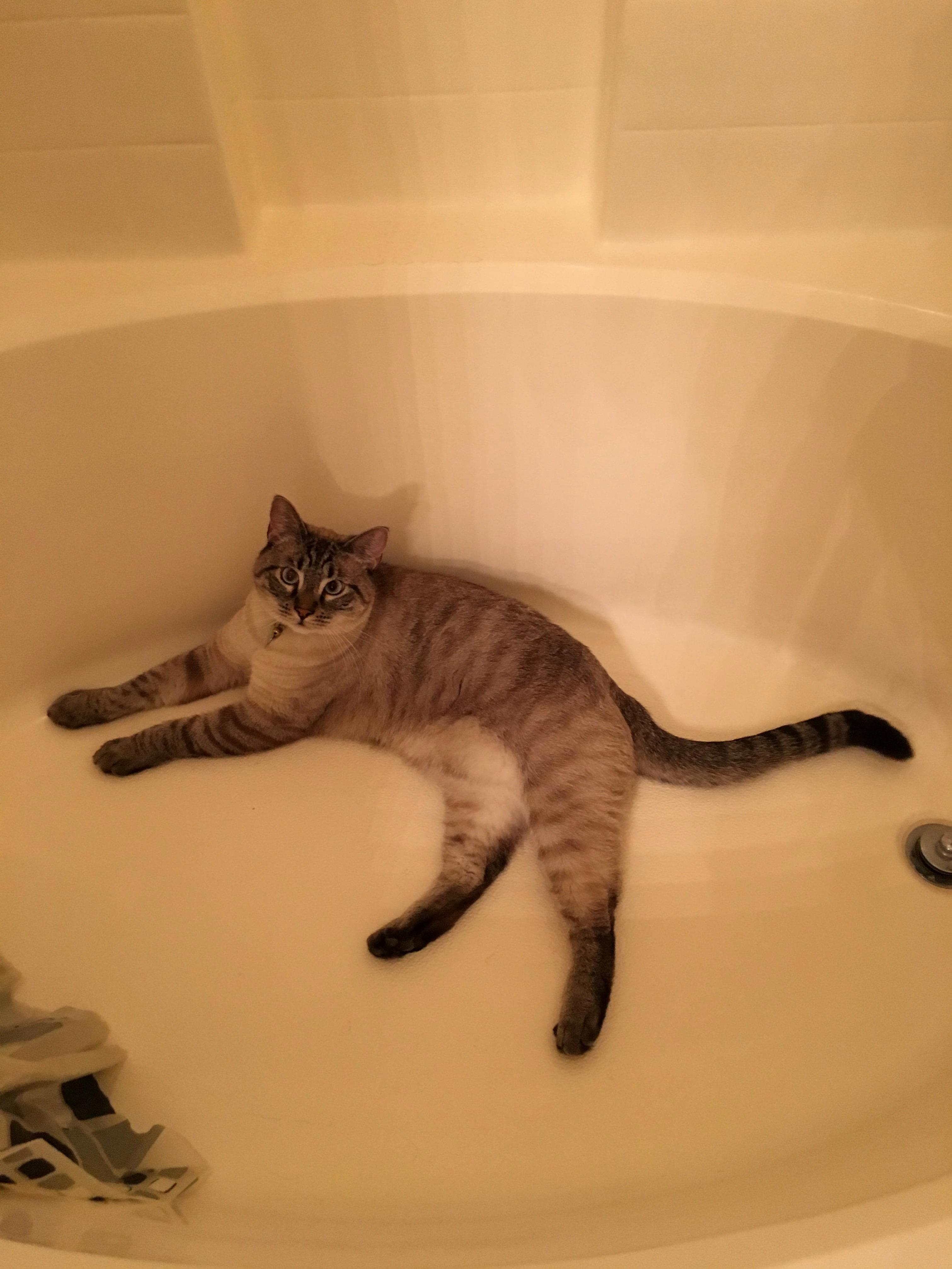 Heard Some Noise Coming from the Bathroom...