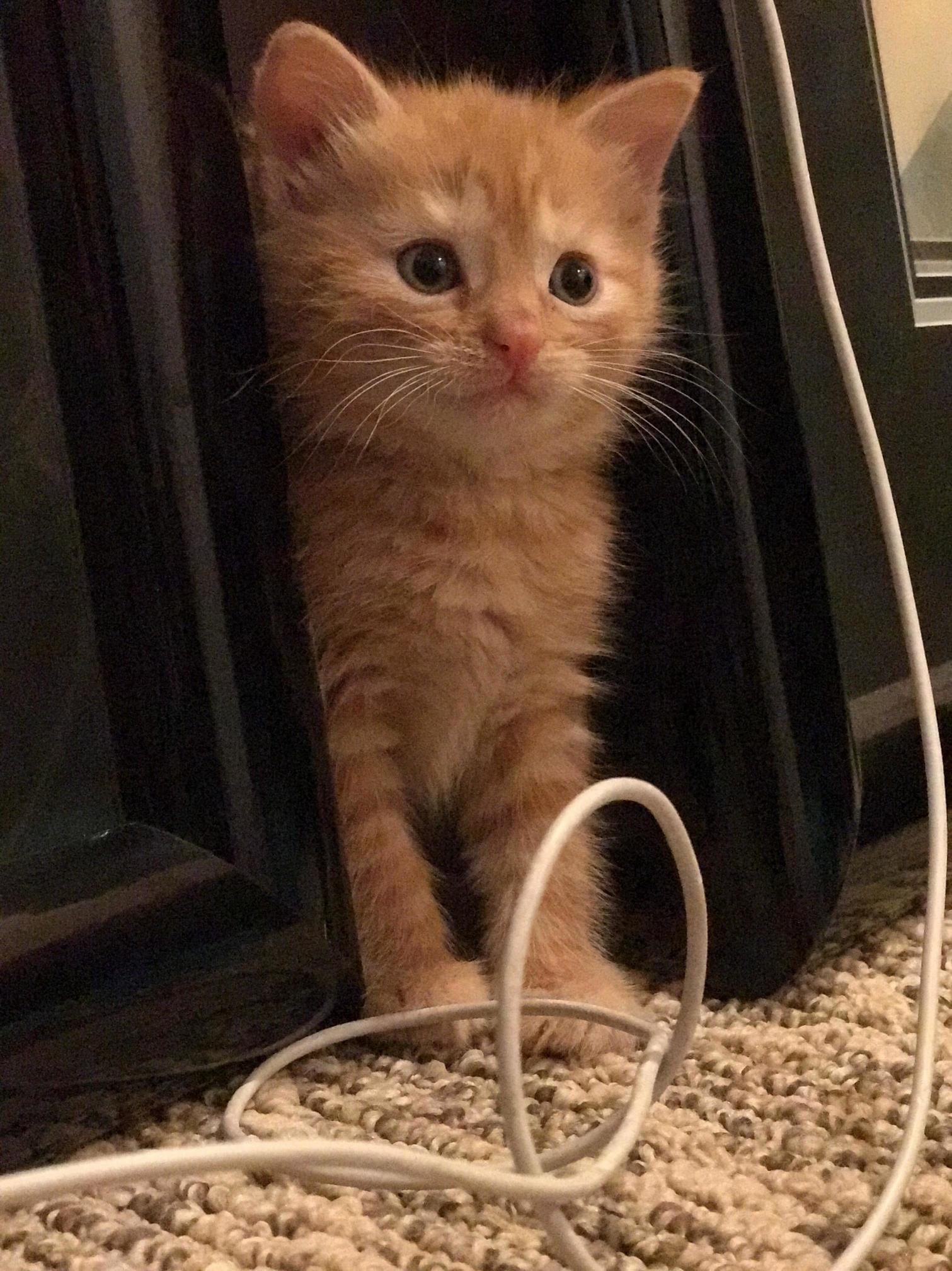 Help Us Name Our New Little Girl
