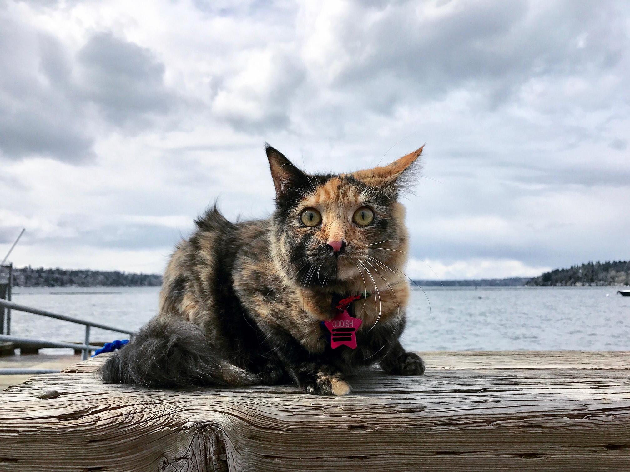 Her First Day at the Lake