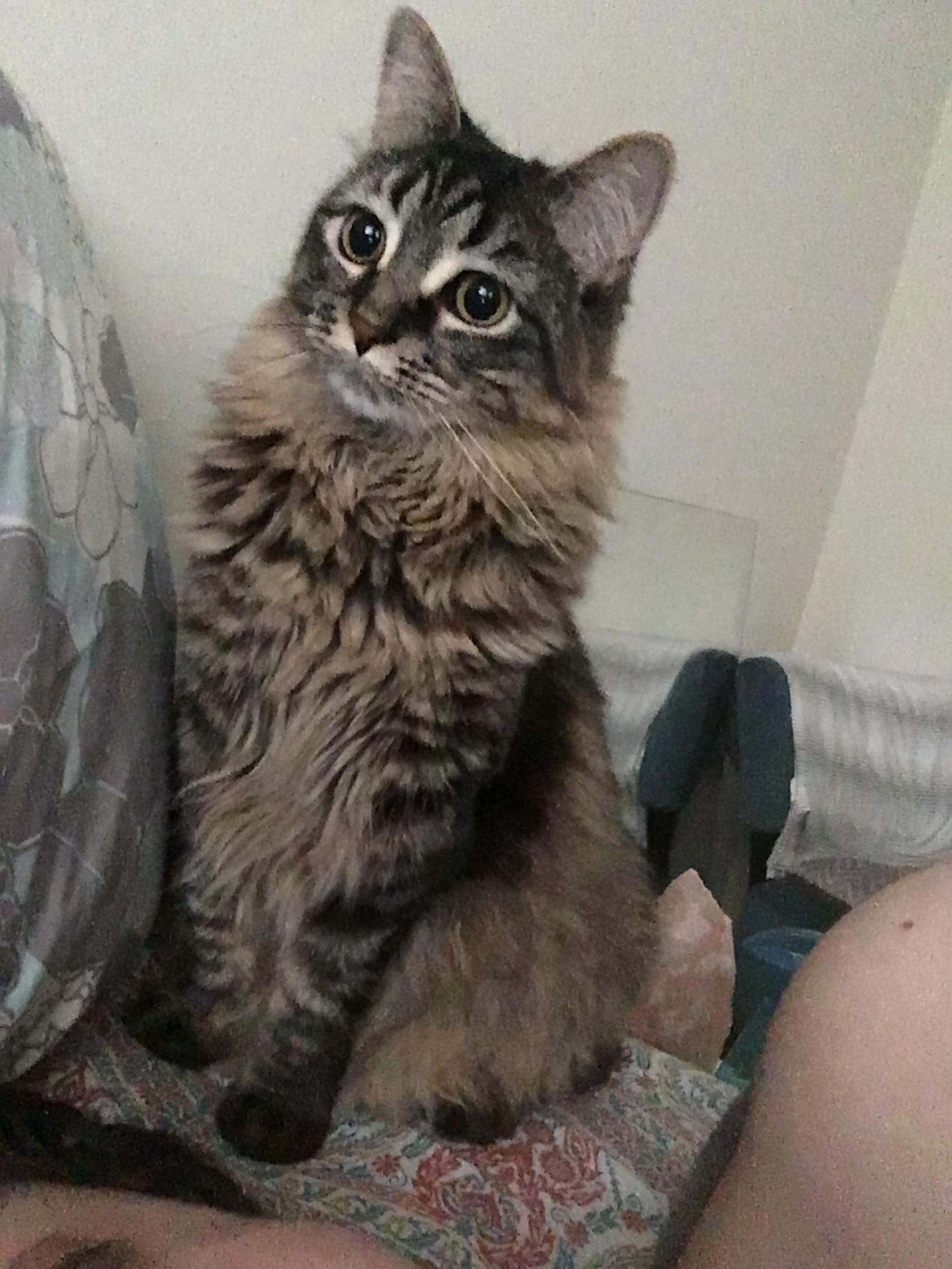Her Name Is Fuko and She Turns 1 Year Old Next Month.