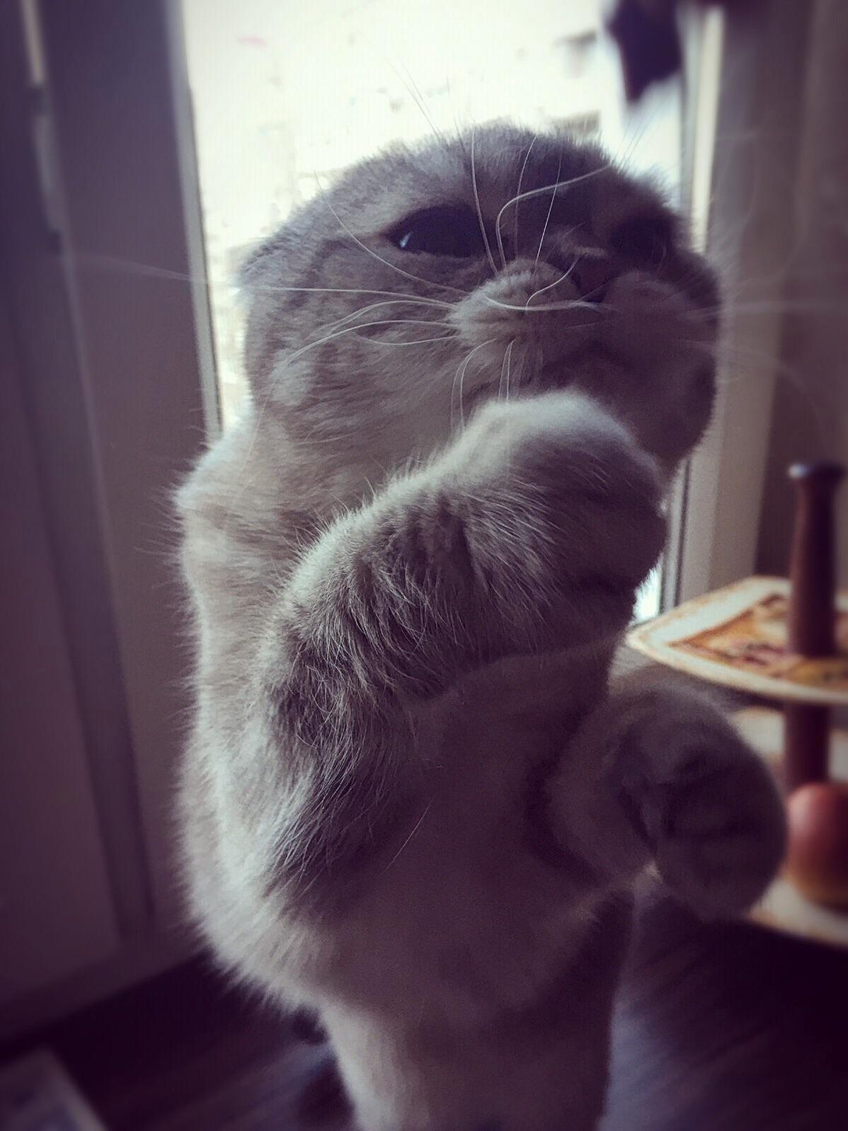 Her Name Is Sima