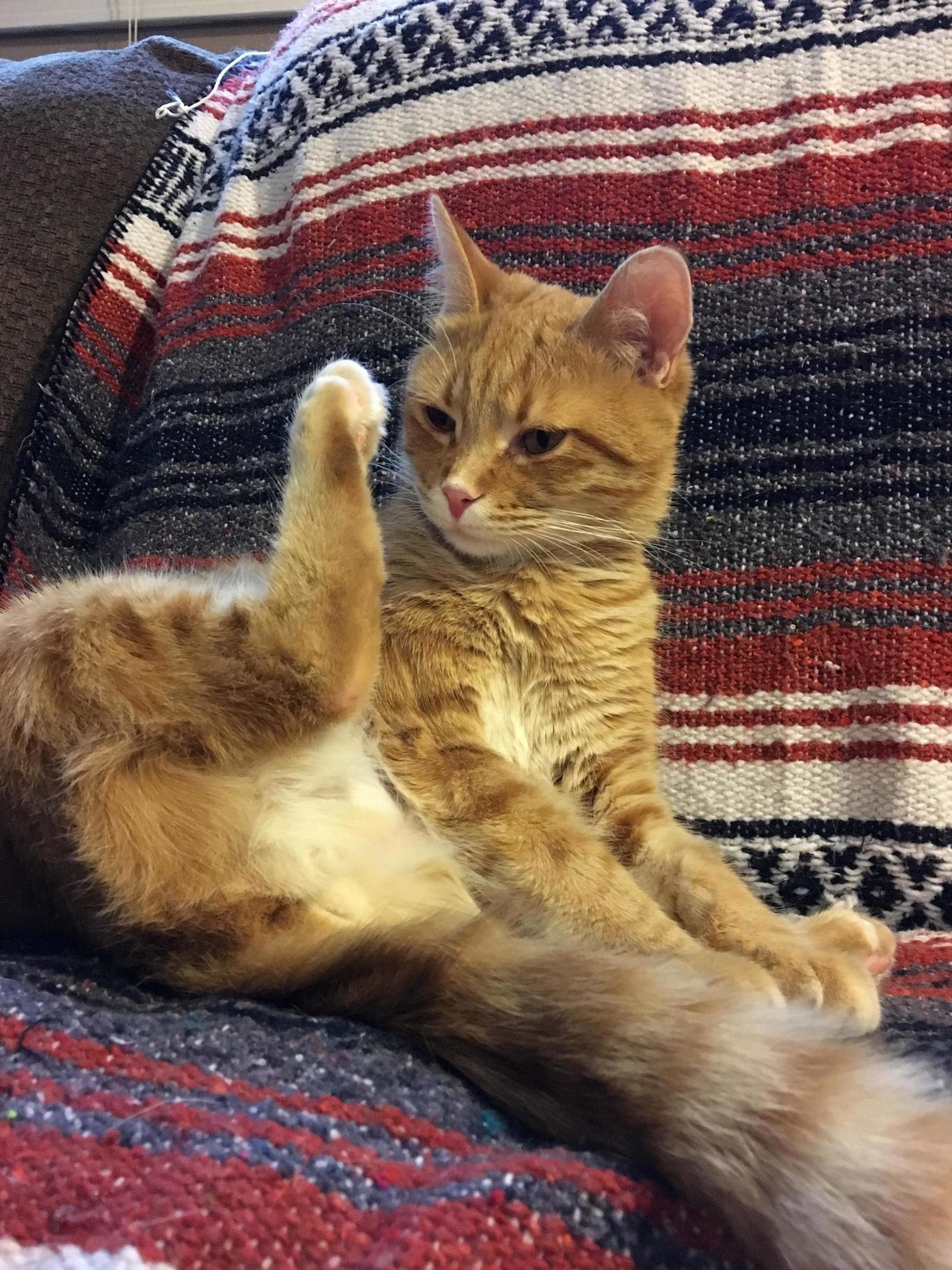 Hes Not Sure What to Do with His Leg