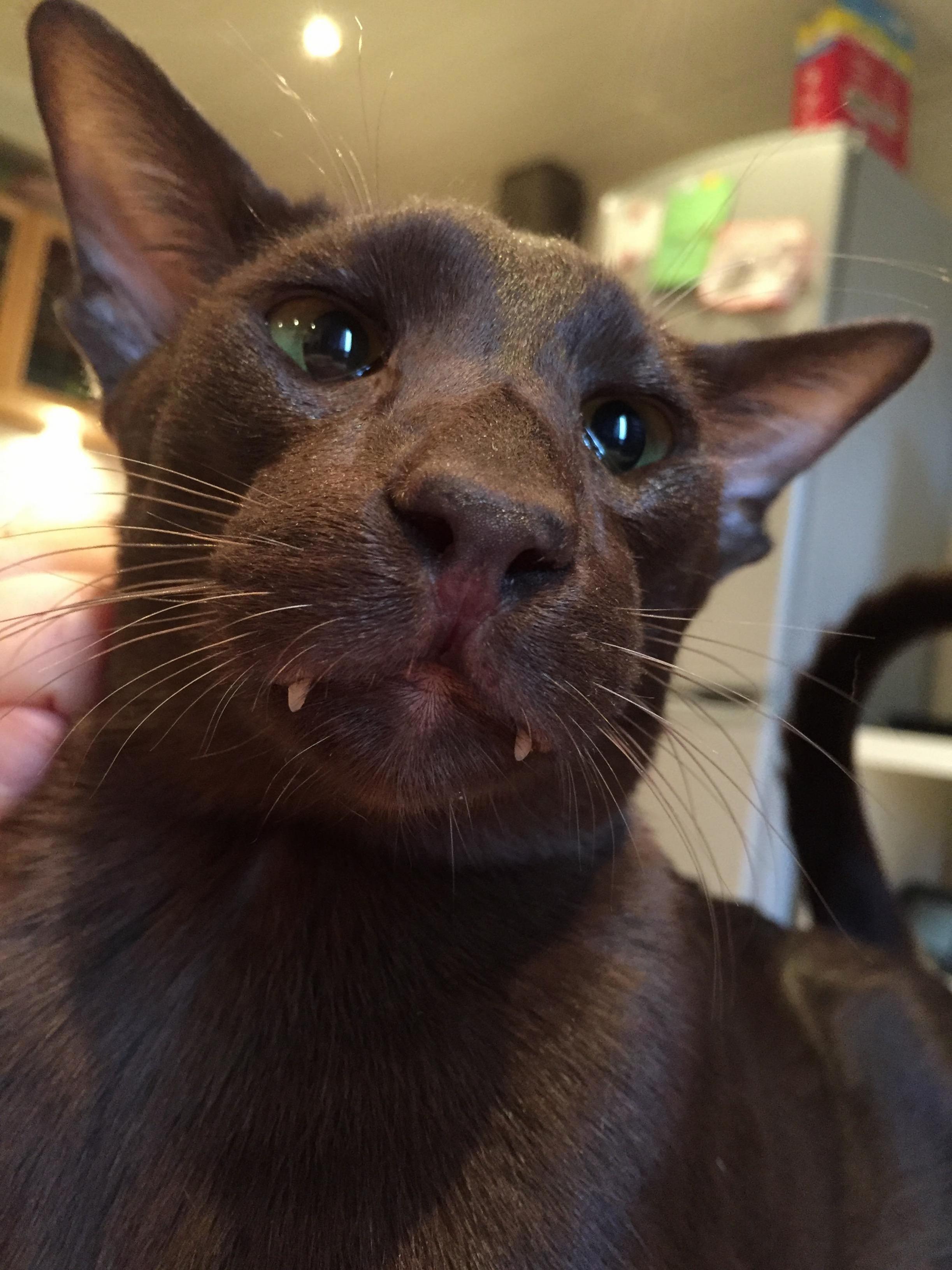 Hes Such a Doofus.