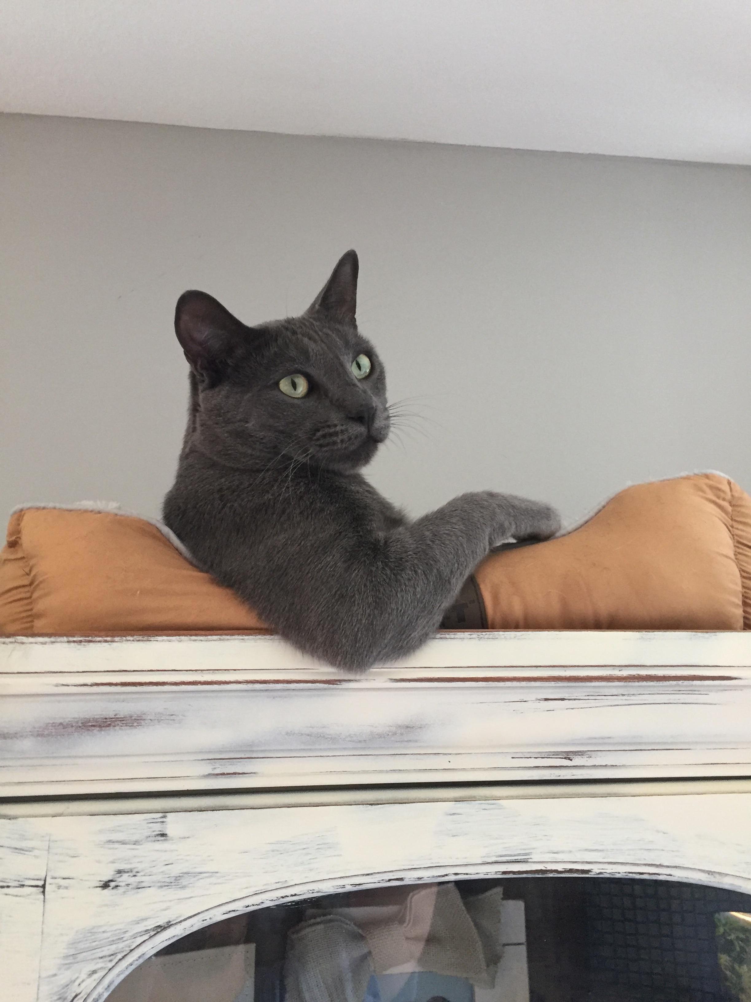 Hey Bro Just Let Me Know When Lunch Is Ready.