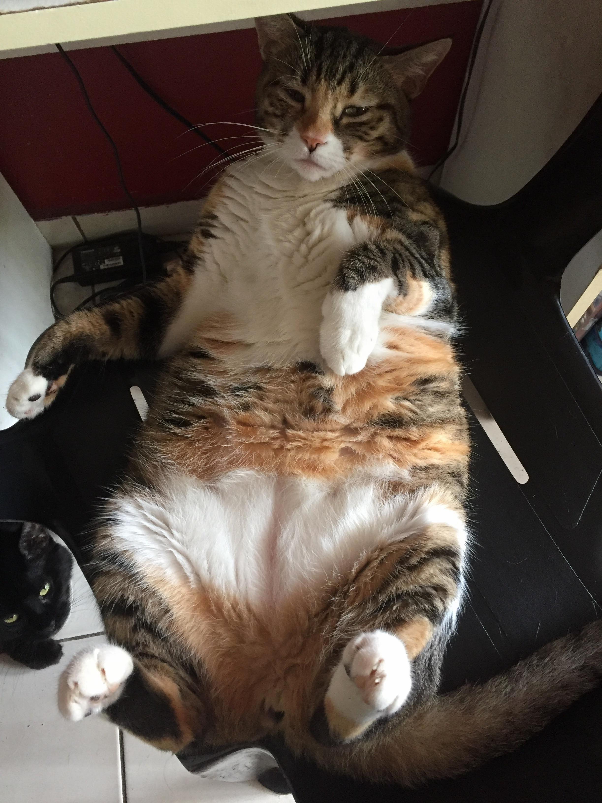 Hey Im Sleeping Here