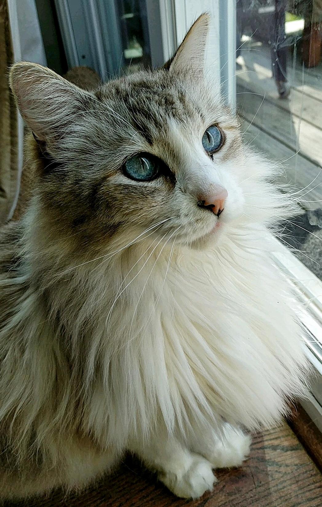 His Name Is Fluffy.
