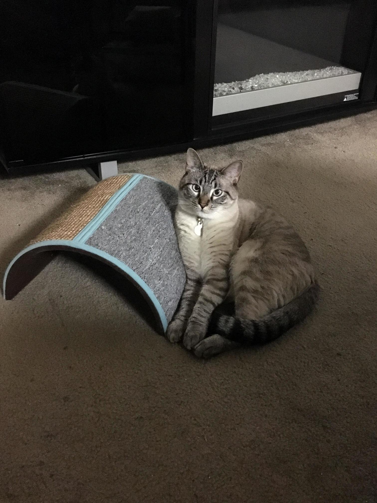 His Tunnel Thing Has Become a Resting Place.