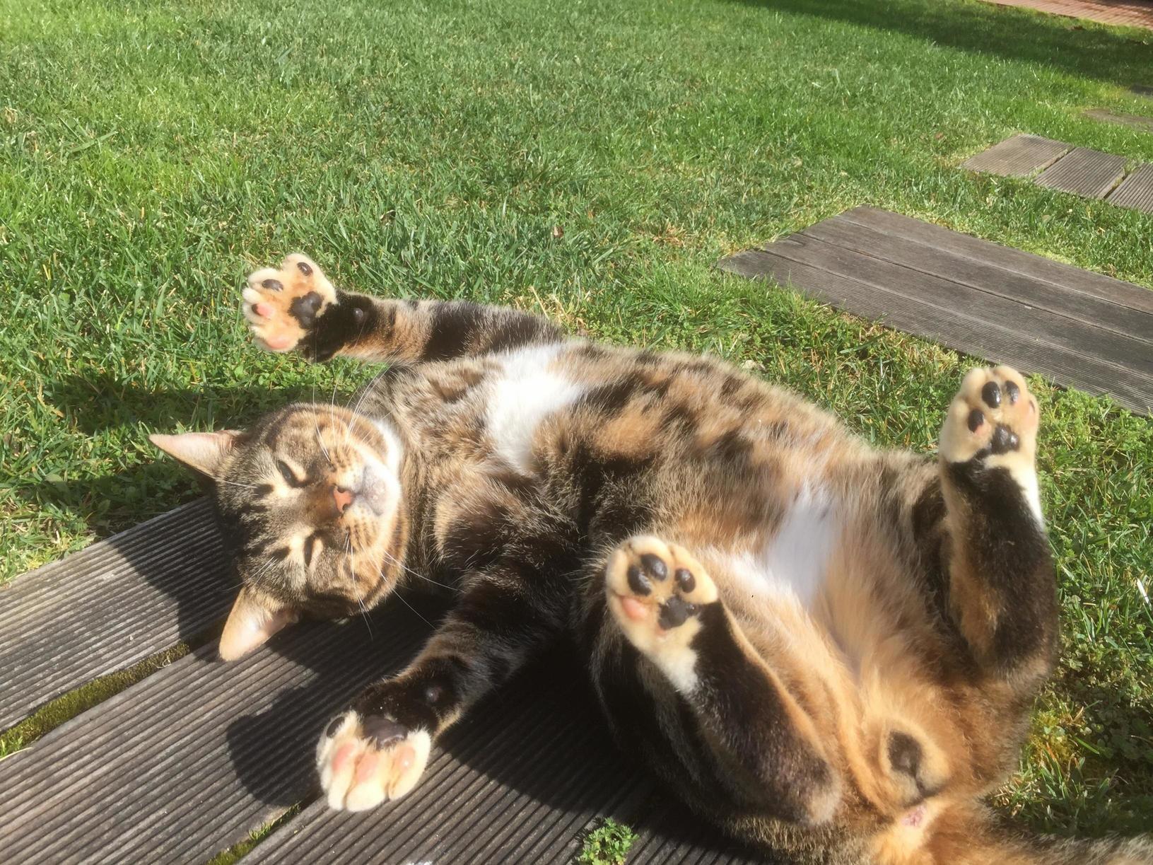 Hug Me Human