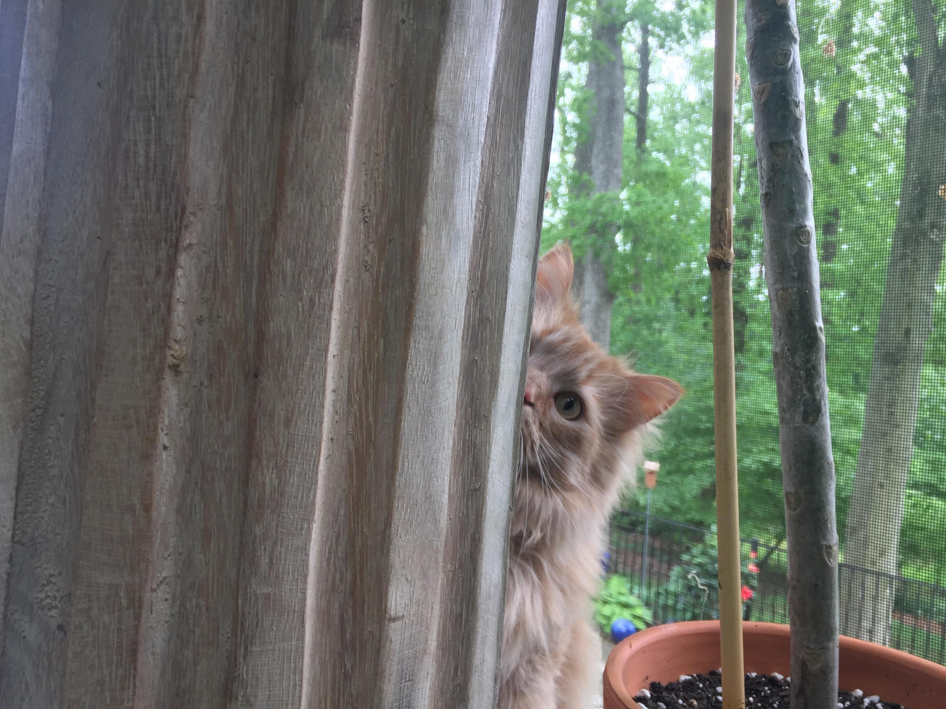 Hunting.