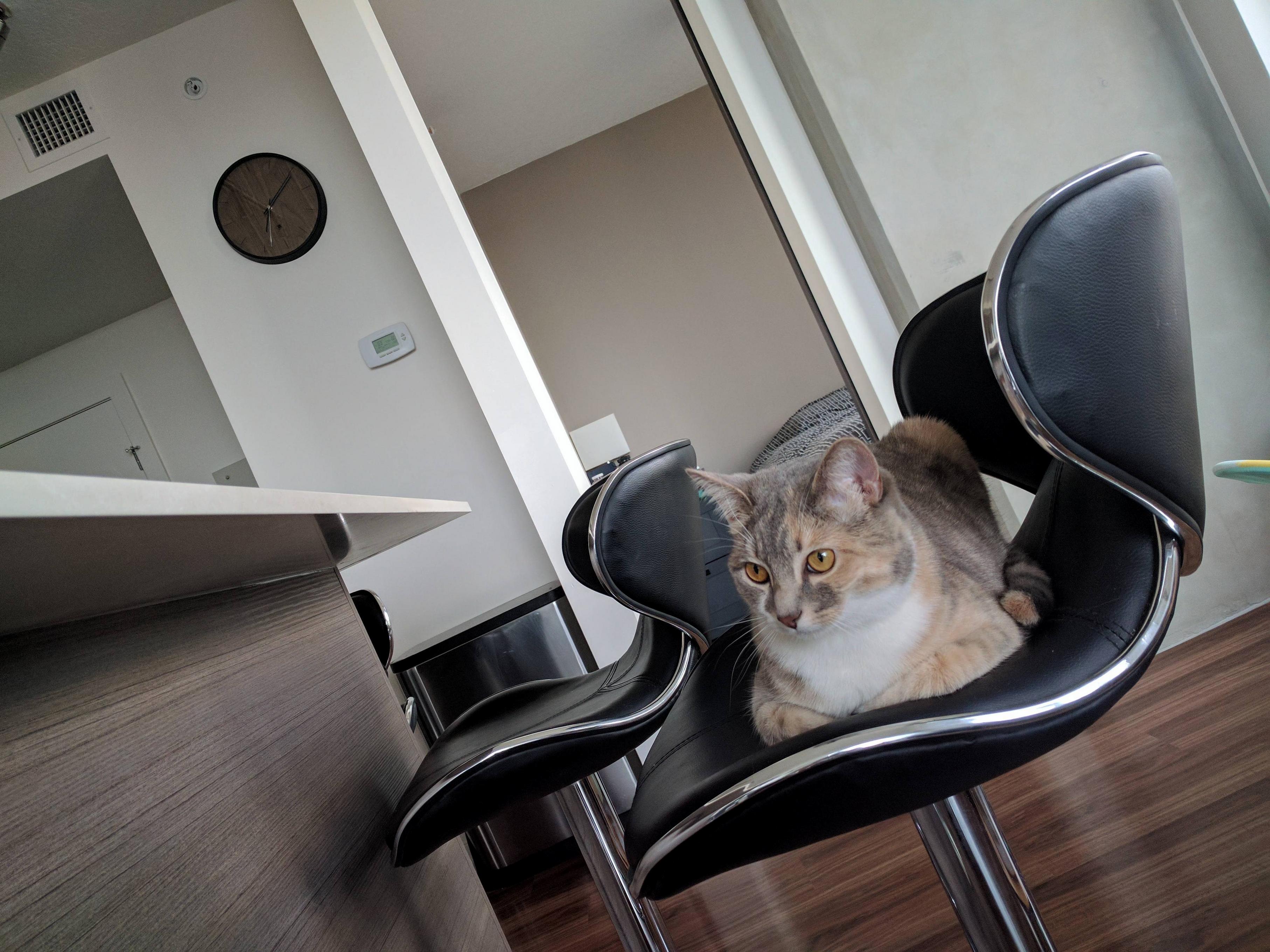 I Can So Like a Human Too