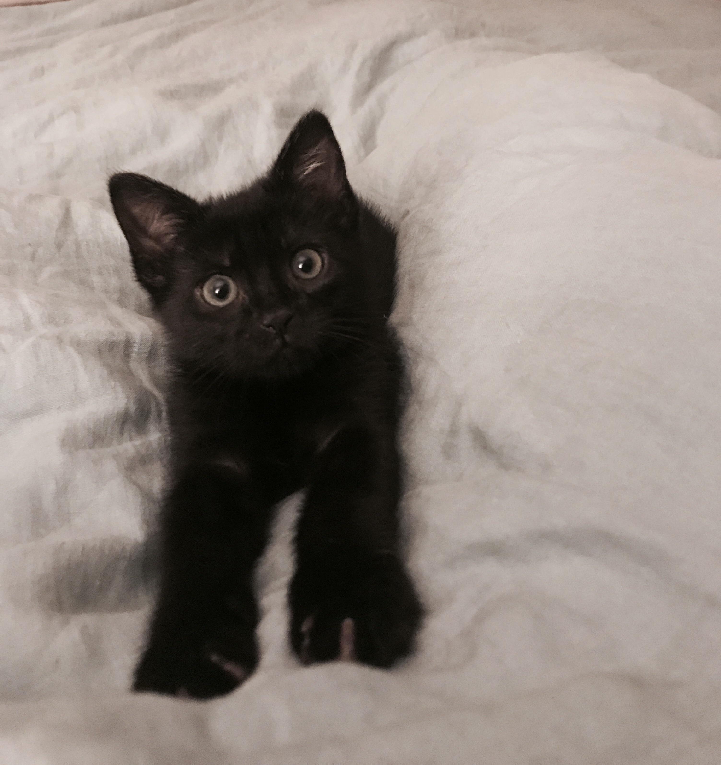 I Cant Handle the Cuteness.