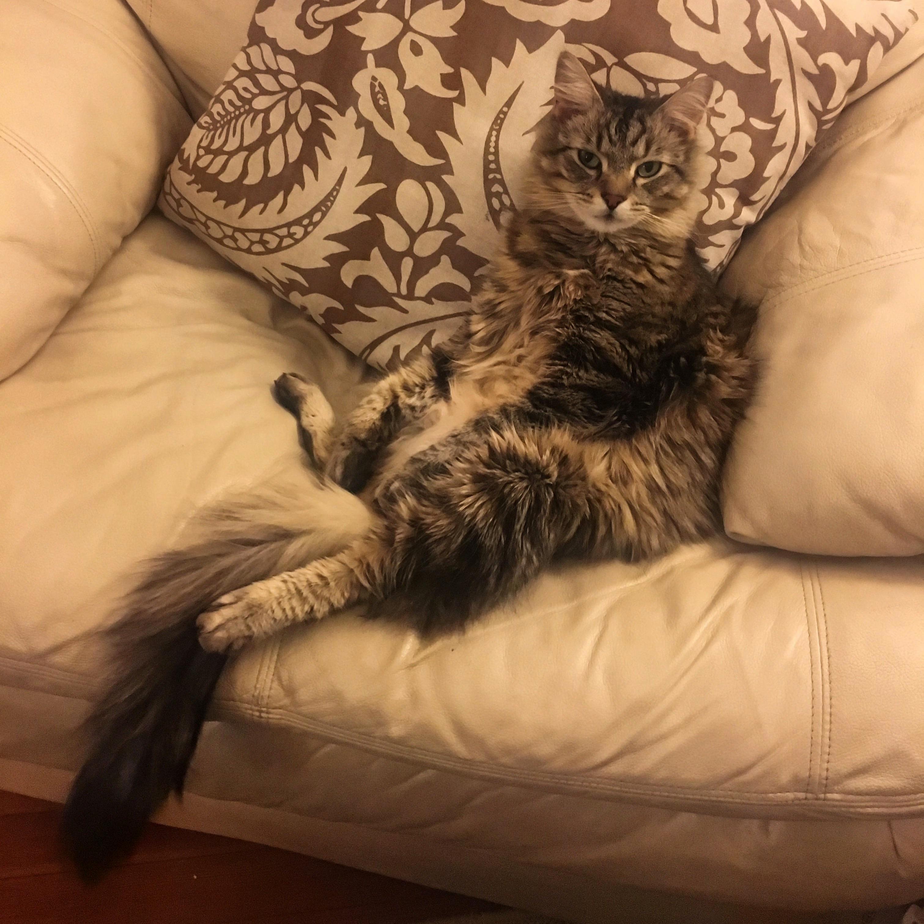 I Enjoy Sitting in My Chair.