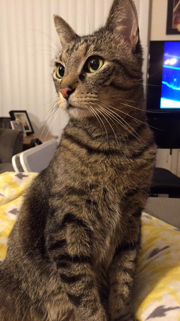 I Just Think Shes Real Pretty.
