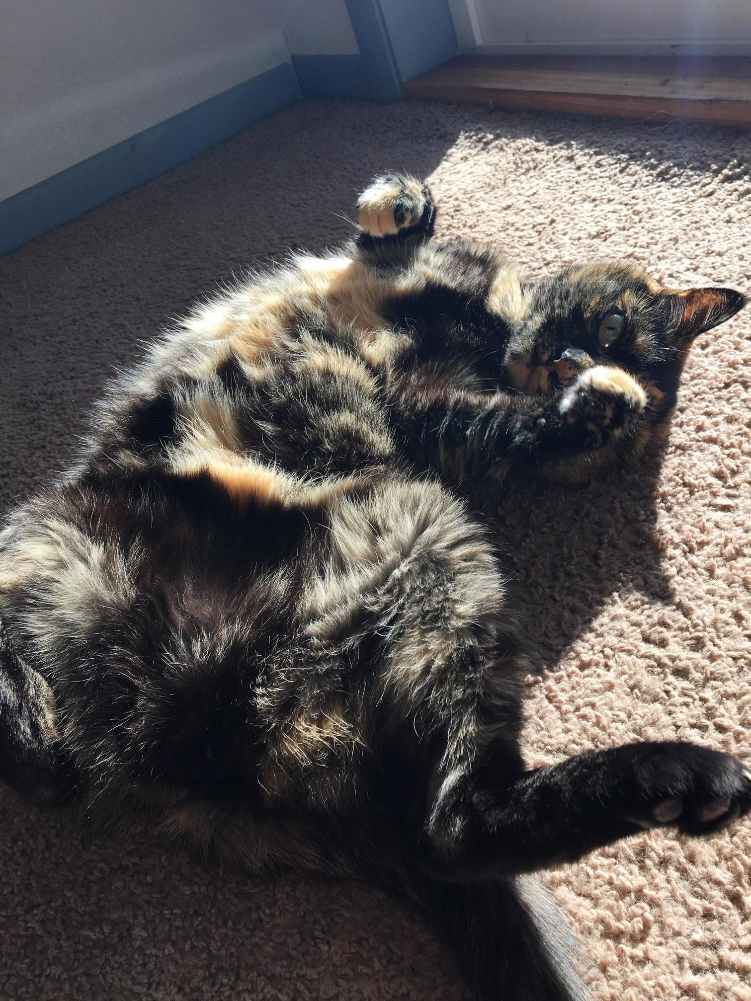 I Like Baths...sunbaths That Is